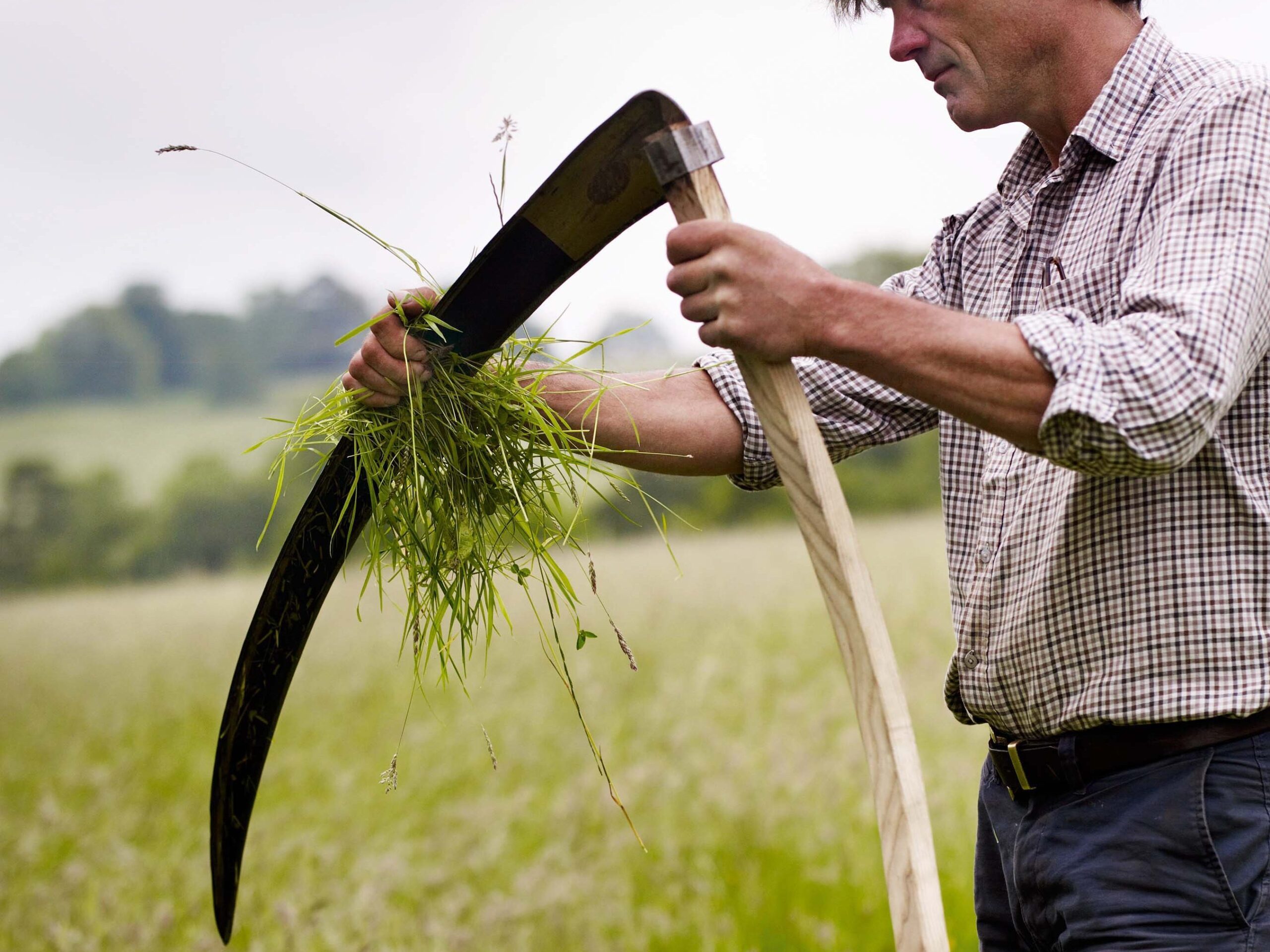 Simon Damant scything in a field at the Wimpole Estate