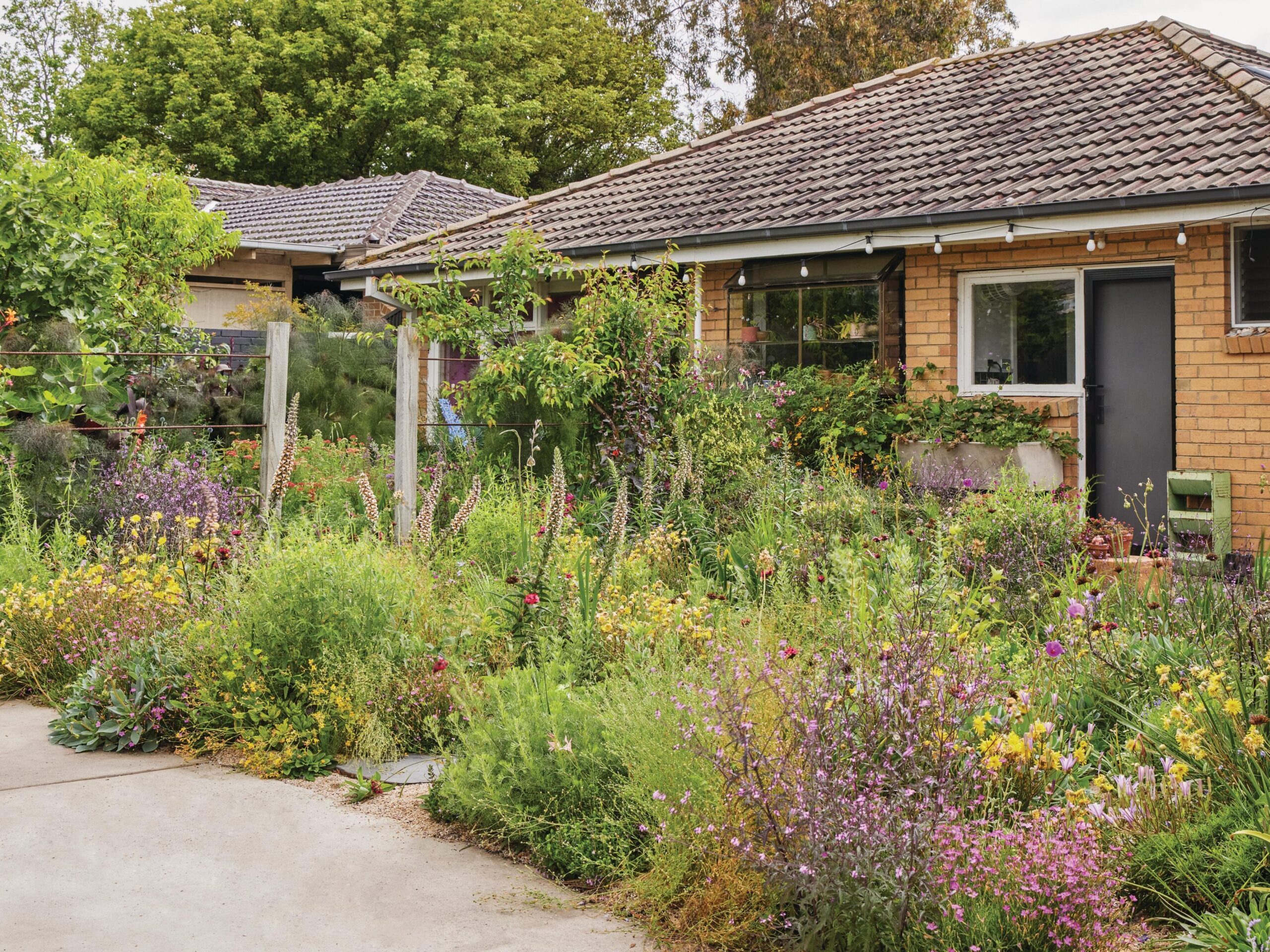 Exterior of house and floral front garden