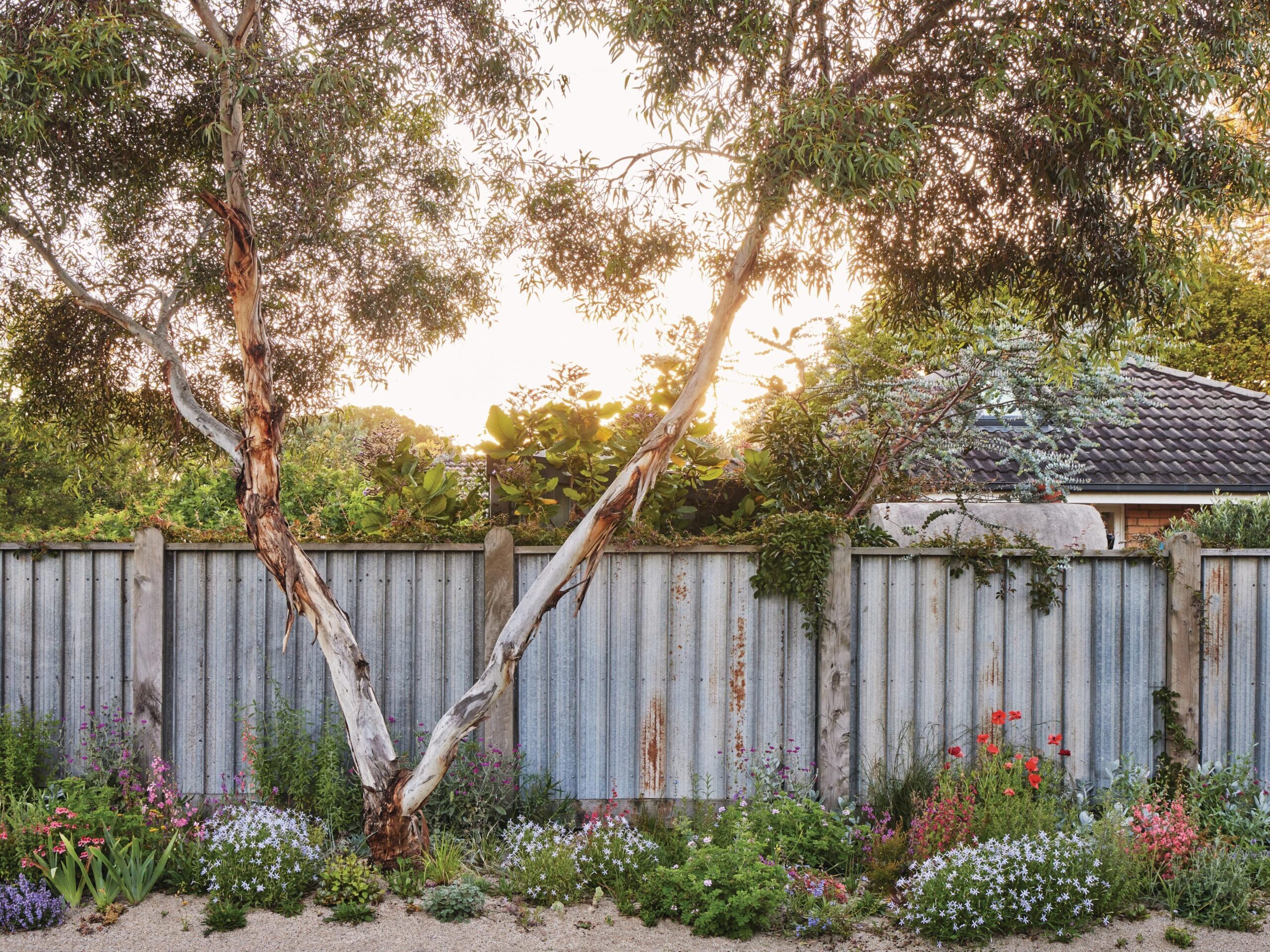 Garden fence and tree with borders
