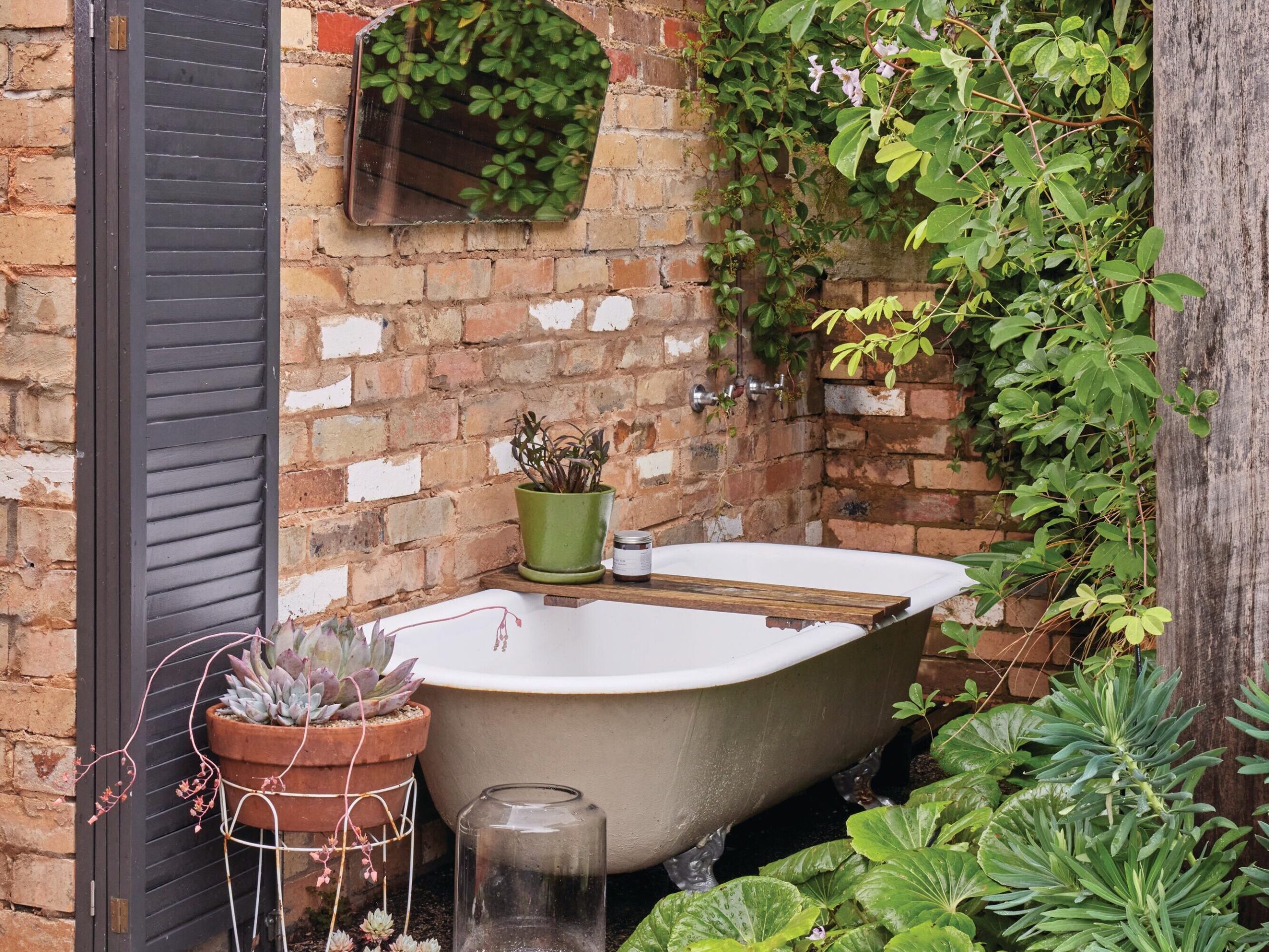 Garden bath with potted plants