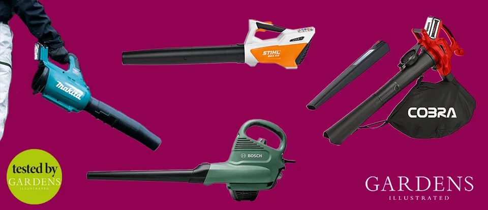 Leaf-blowers_GI_heroT Leaf blower expert reviews tested by Gardens Illustrated