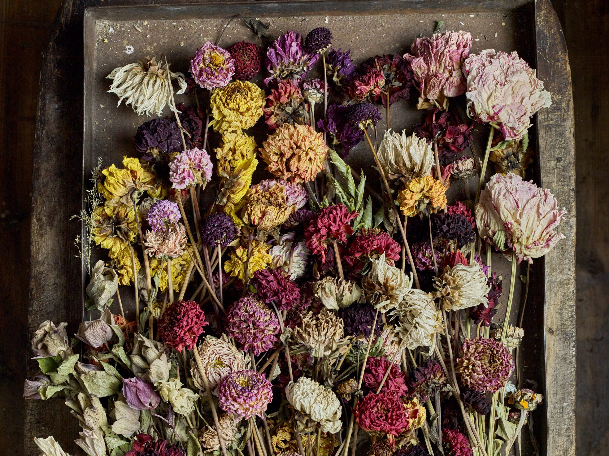 Muted tones of dried flowers in Bex Partridge's studio