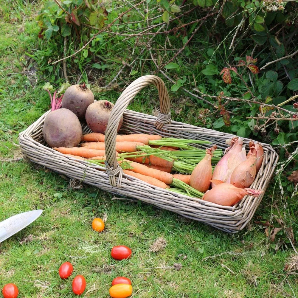 Mini Kew antique wash wicker garden trug, The Basket Company Mini Kew antique wash wicker garden trug, The Basket Company