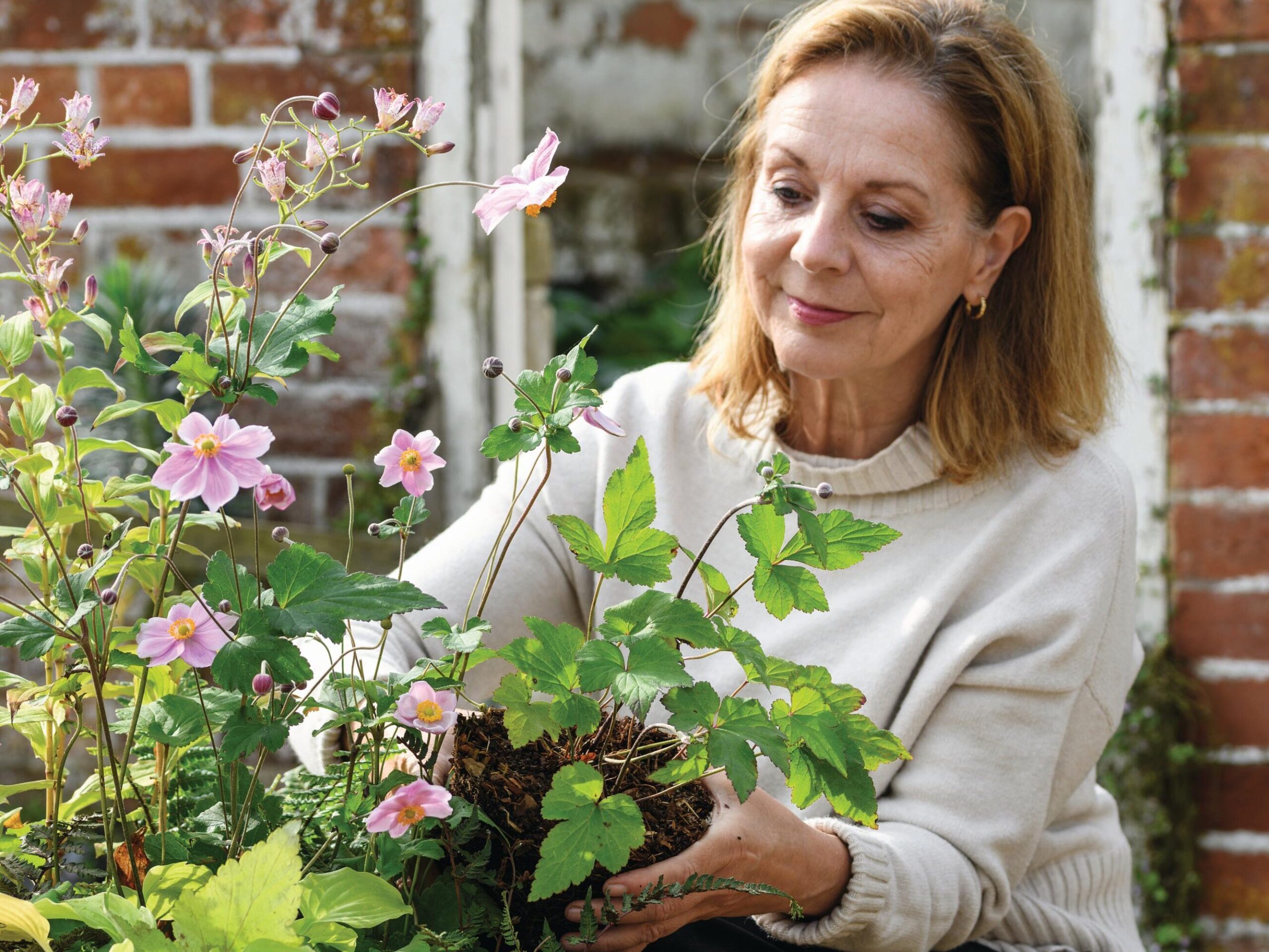 Jo Thompson's Pots of Style late summer