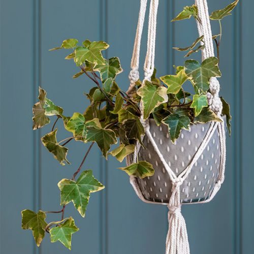 Burgon & Ball Macramé Hanging Plant Pot