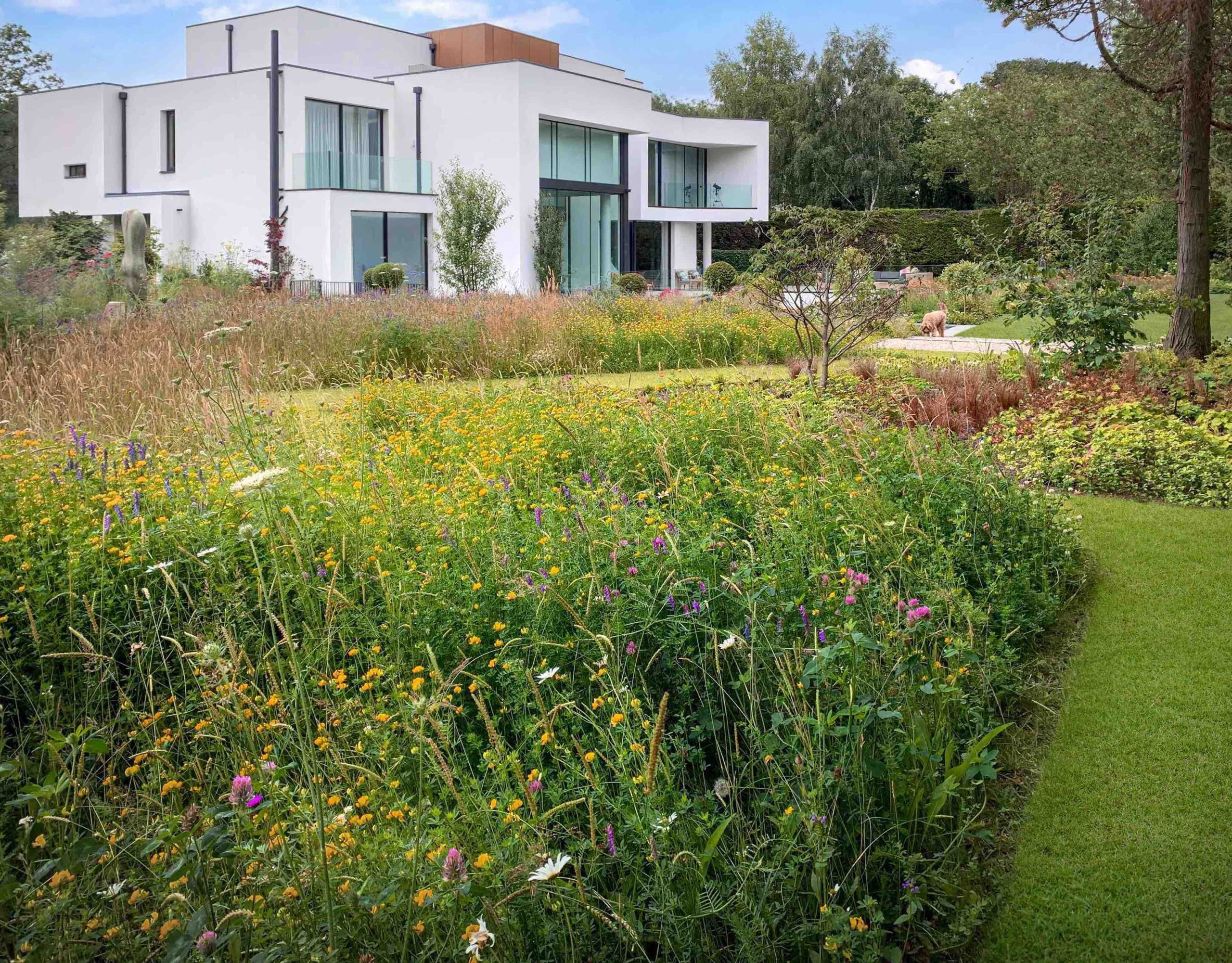 Meadow areas in a garden by Marcus Gilbert Studio