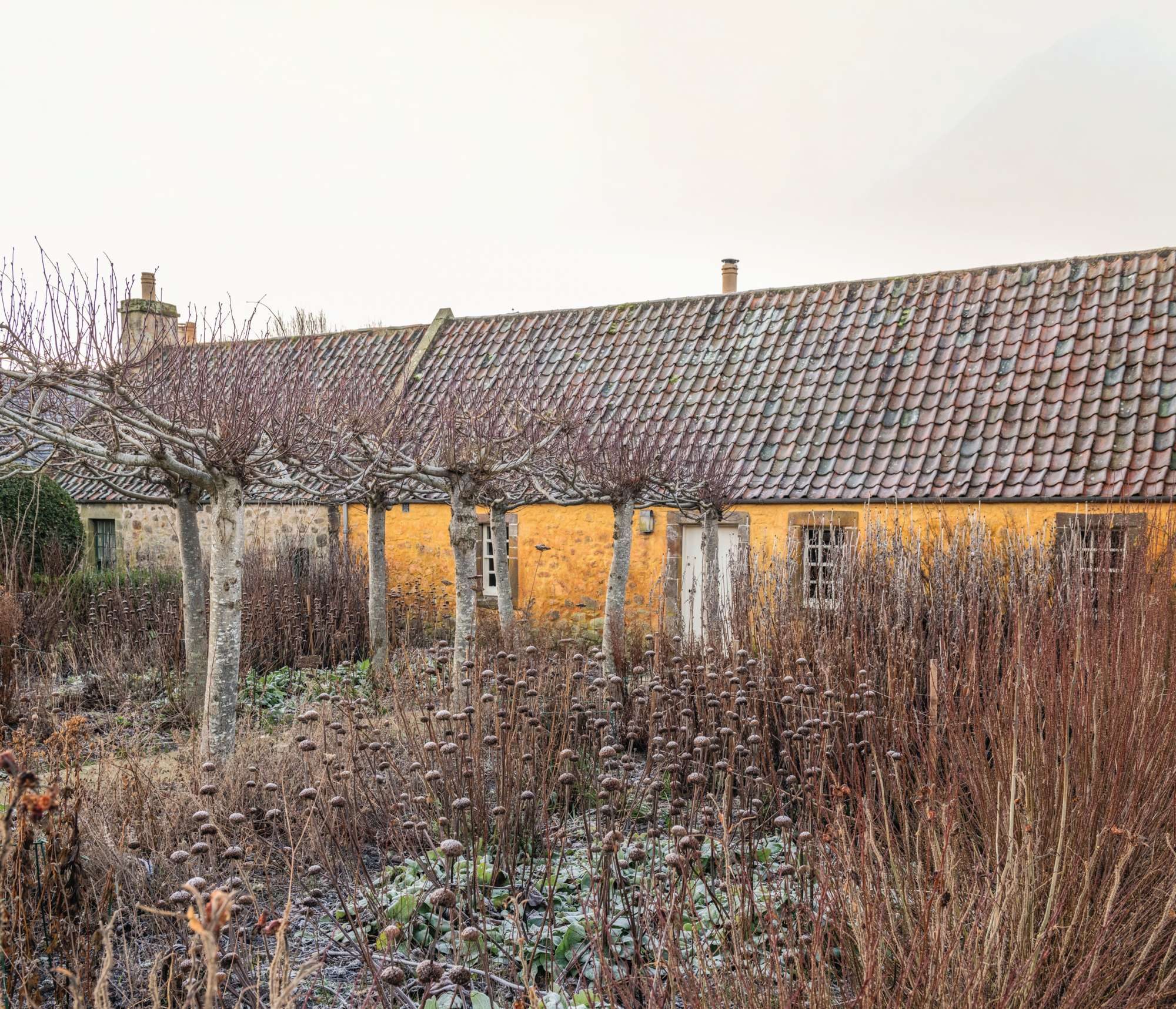 Winter structure in this garden demonstrates the importance of planting for all seasons.