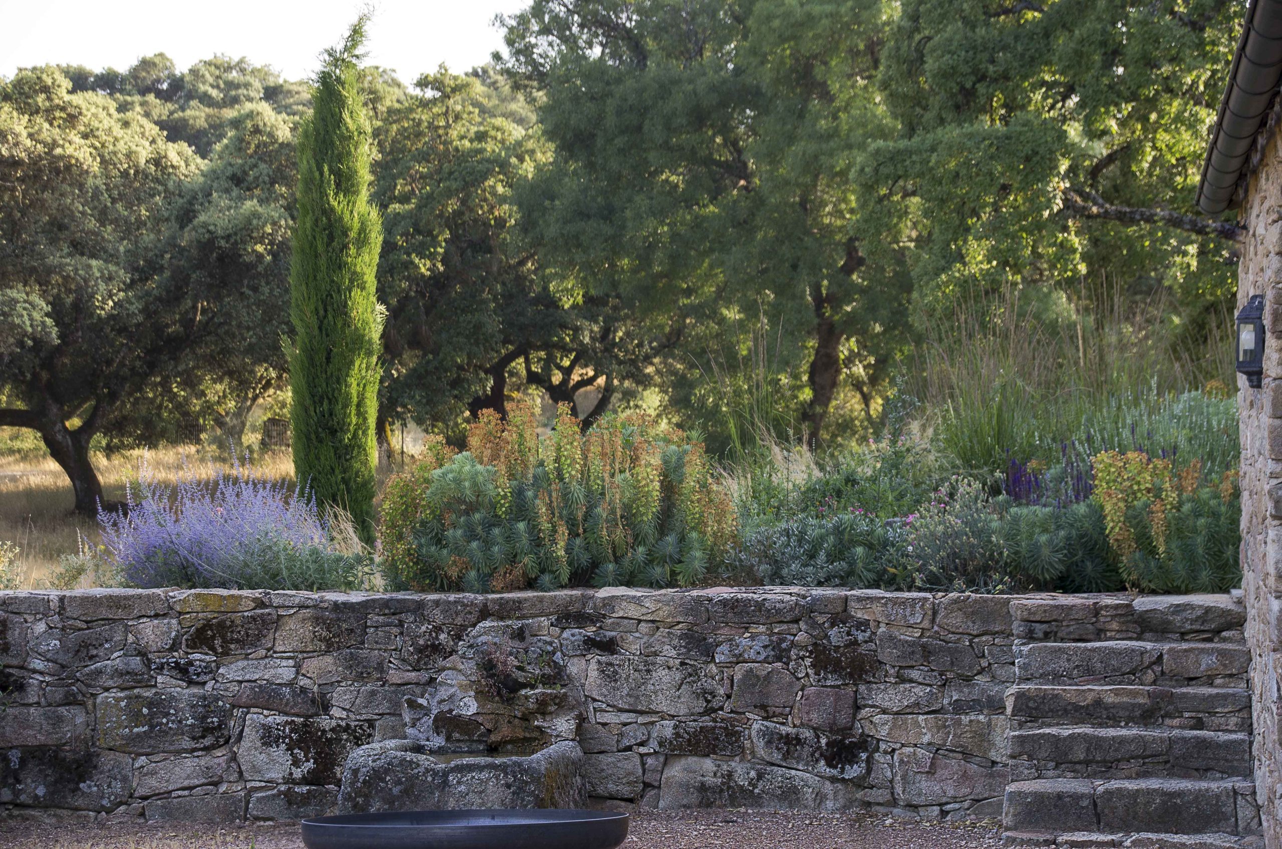 In this garden by Locus Landscape, Mediterranean planting is used to suit the garden conditions.