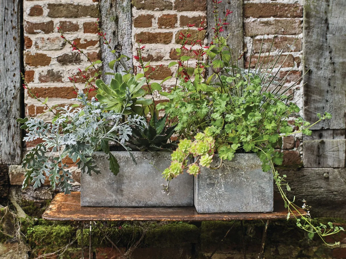 PotsOfStyleFive 97_preview Plants in metal containers