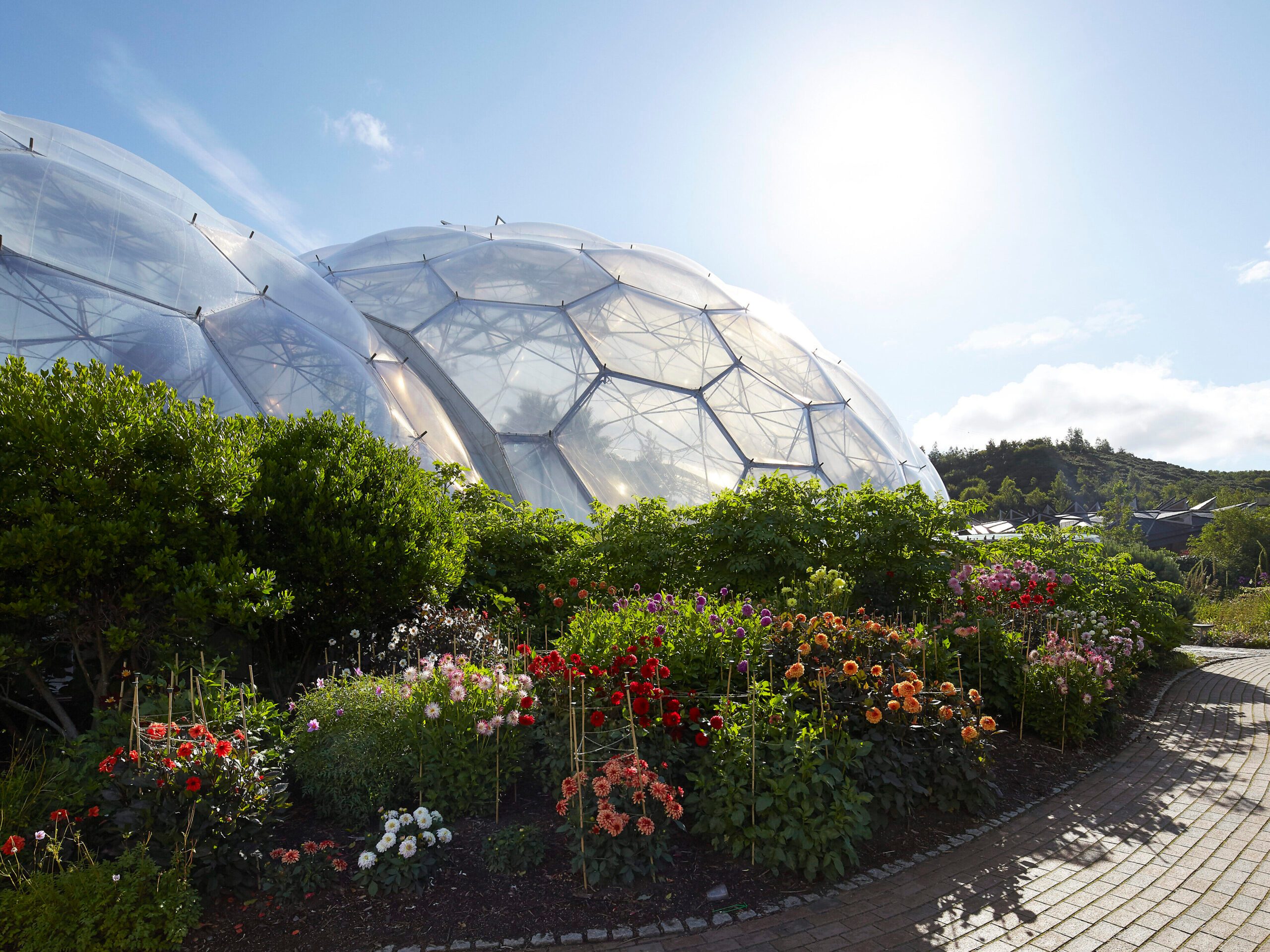 Eden Project