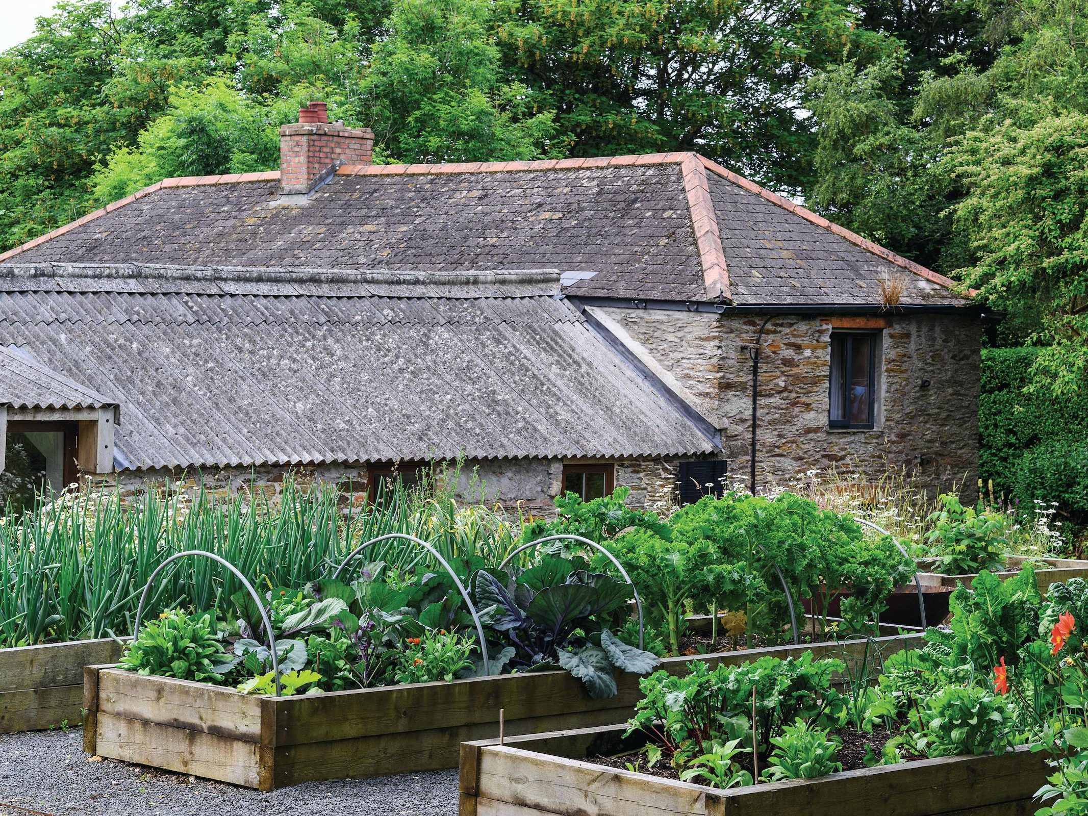 Raised beds and house