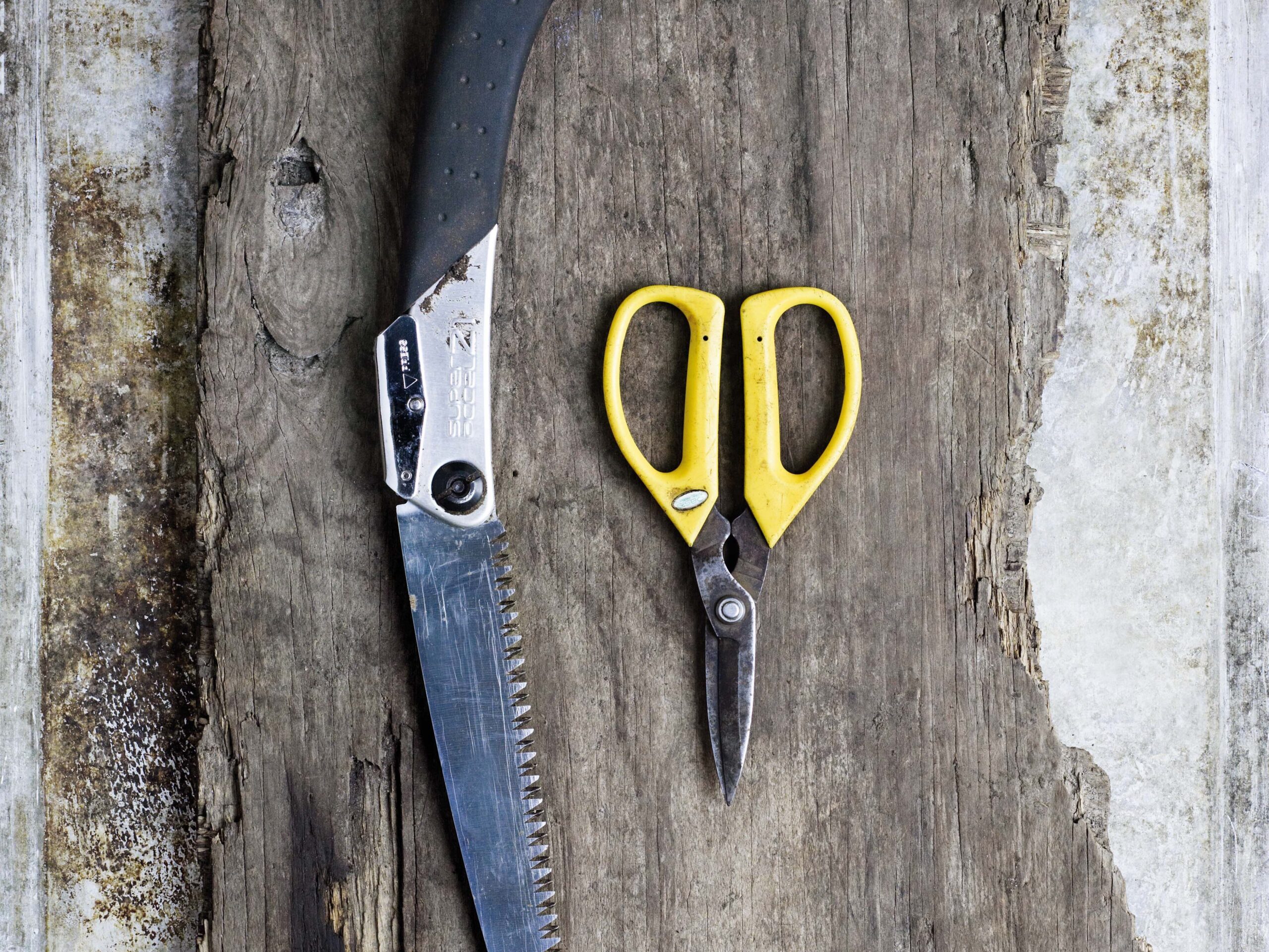 Garden experts must have tools