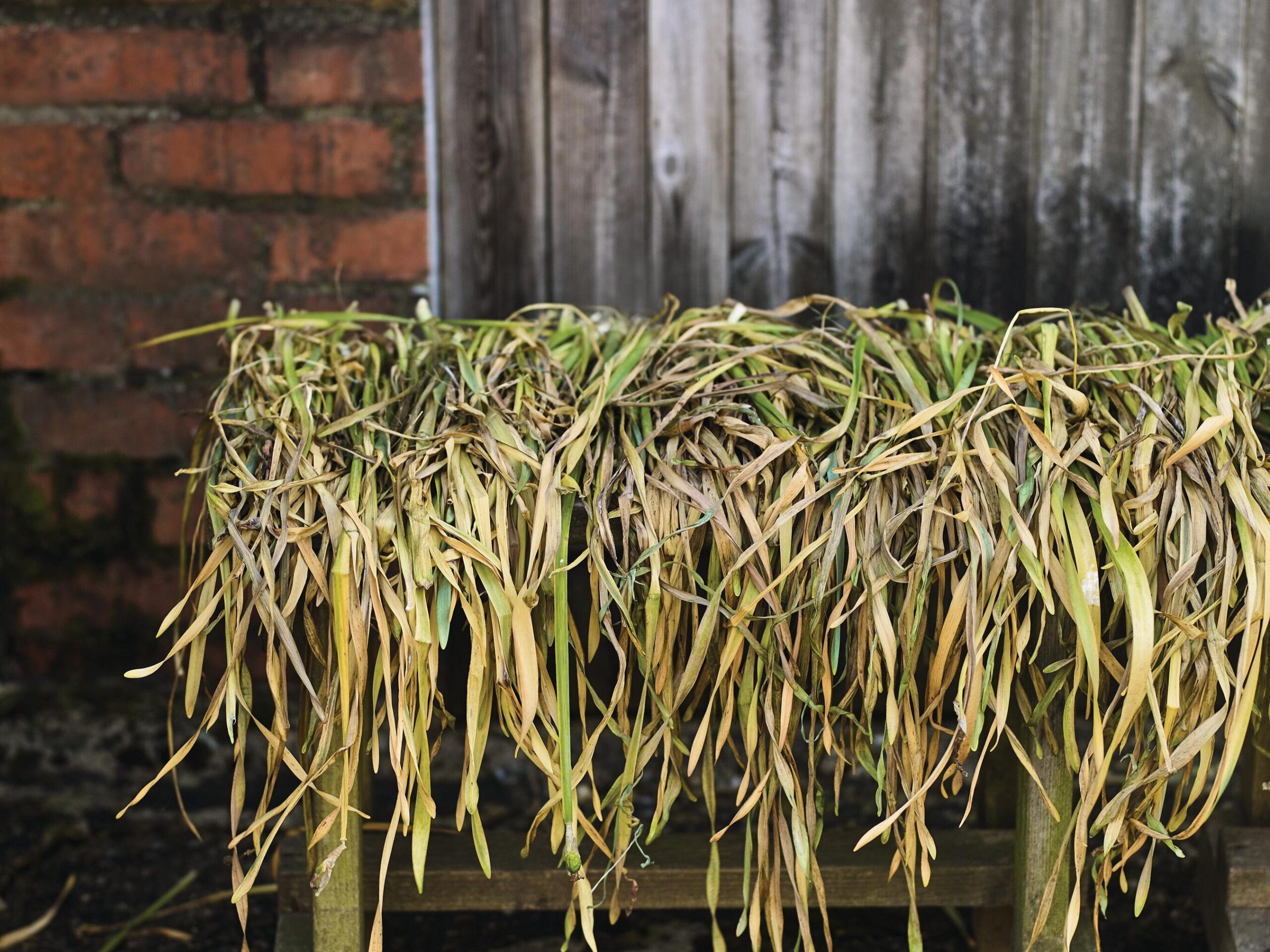 Mollie’s work often incorporates a range of locally foraged plant materials
