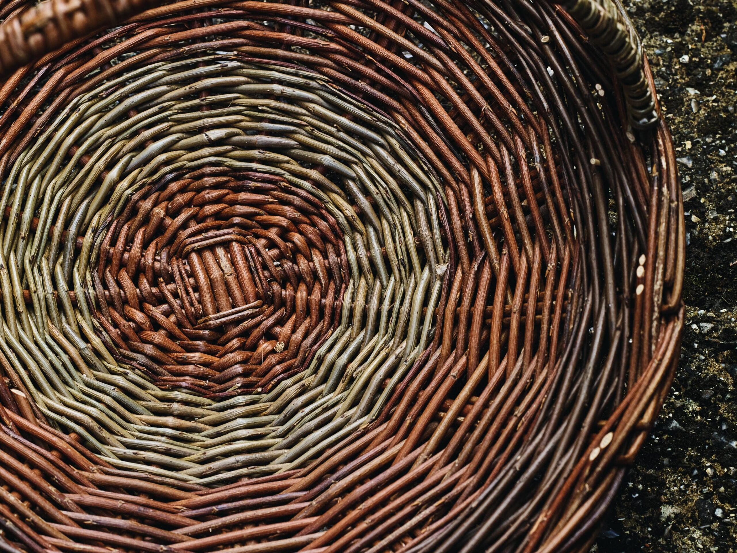 This willow basket with a wrapped handle uses three different willows, including ‘Flanders Red’, the pale ‘Dicky Meadows’ and a dark, steamed willow. Willow is Mollie’s preferred medium, even though it requires a lot of planning and preparation, including soaking and mellowing, before it is flexible enough to work with.