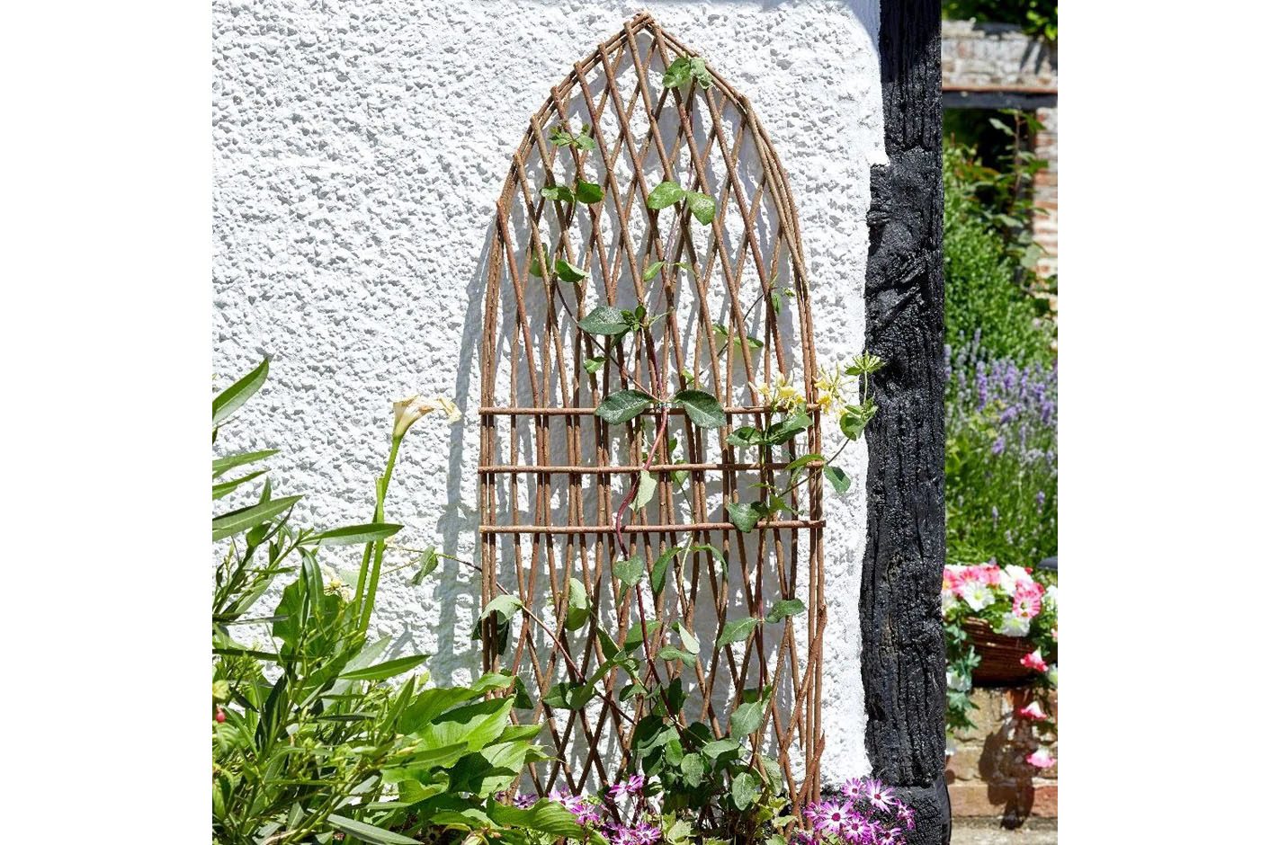 Minster willow trellis against a garden wall