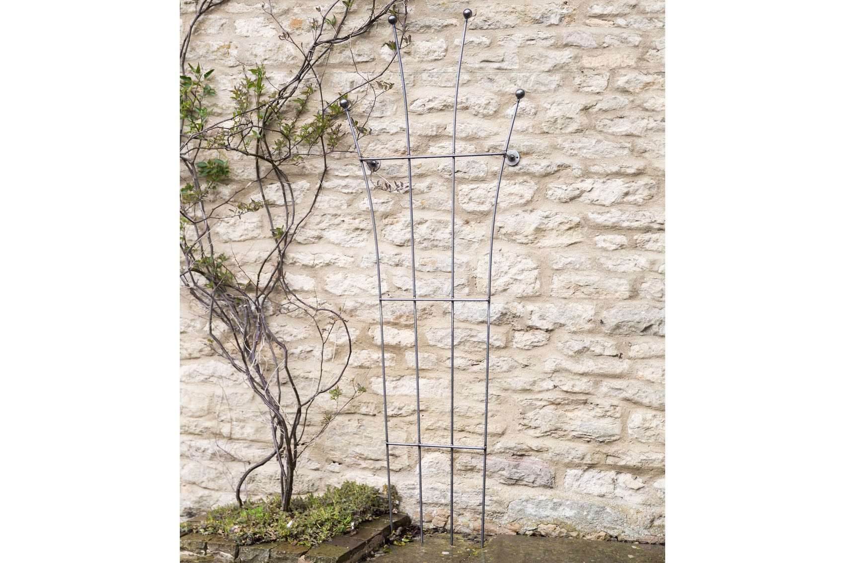 Barrington Honeysuckle Trellis on a wall