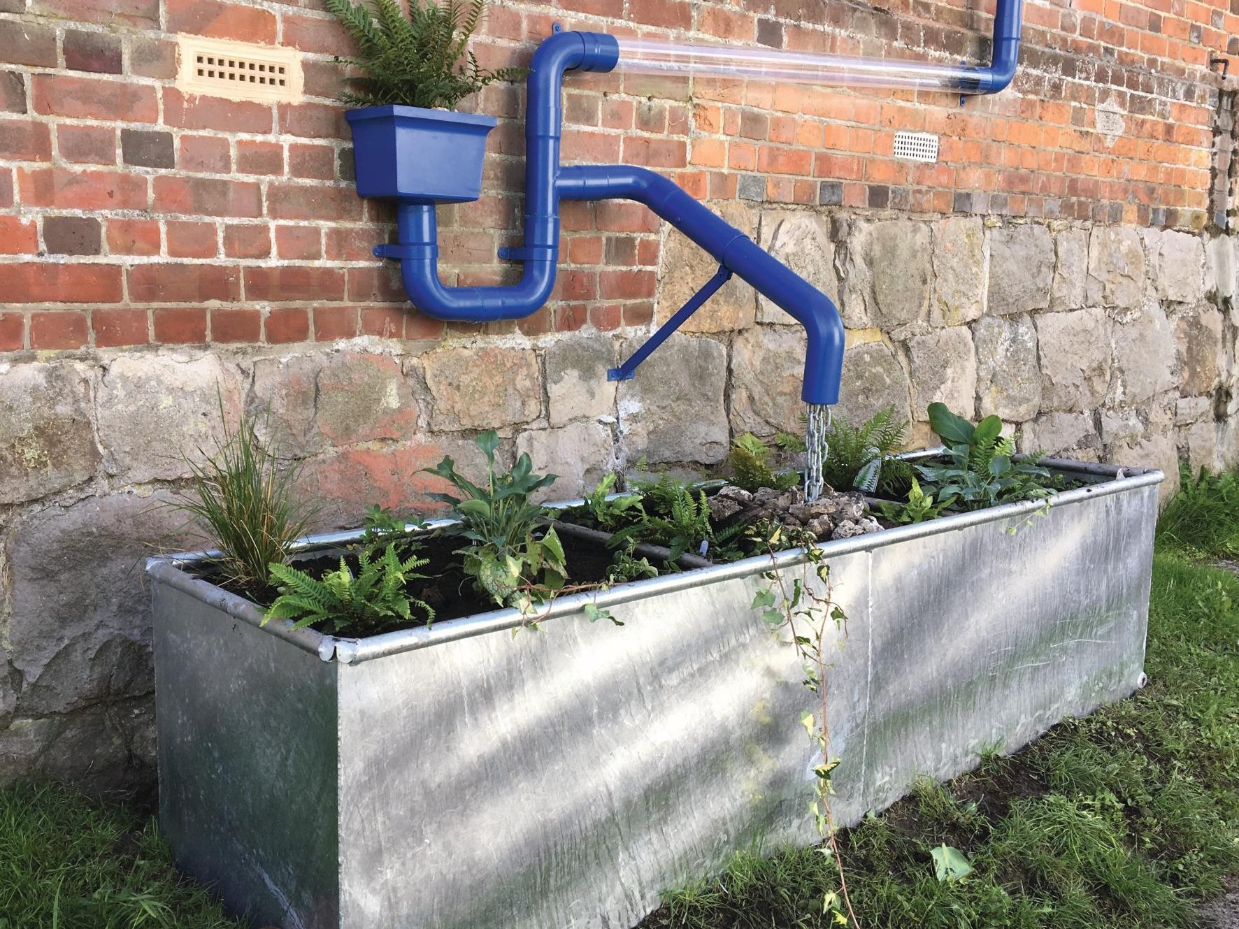Garden blue pipes