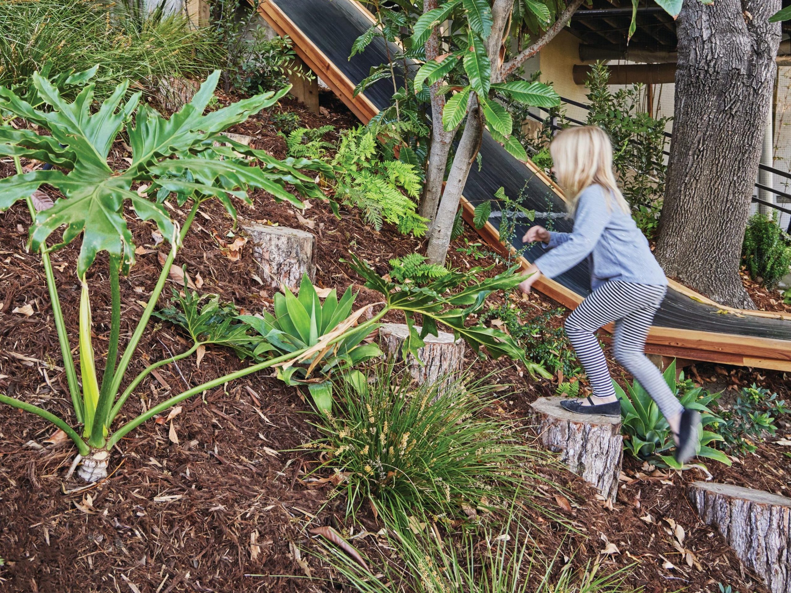 Children playing in garden