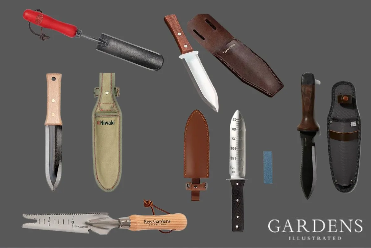 Hori hori knives on a grey background