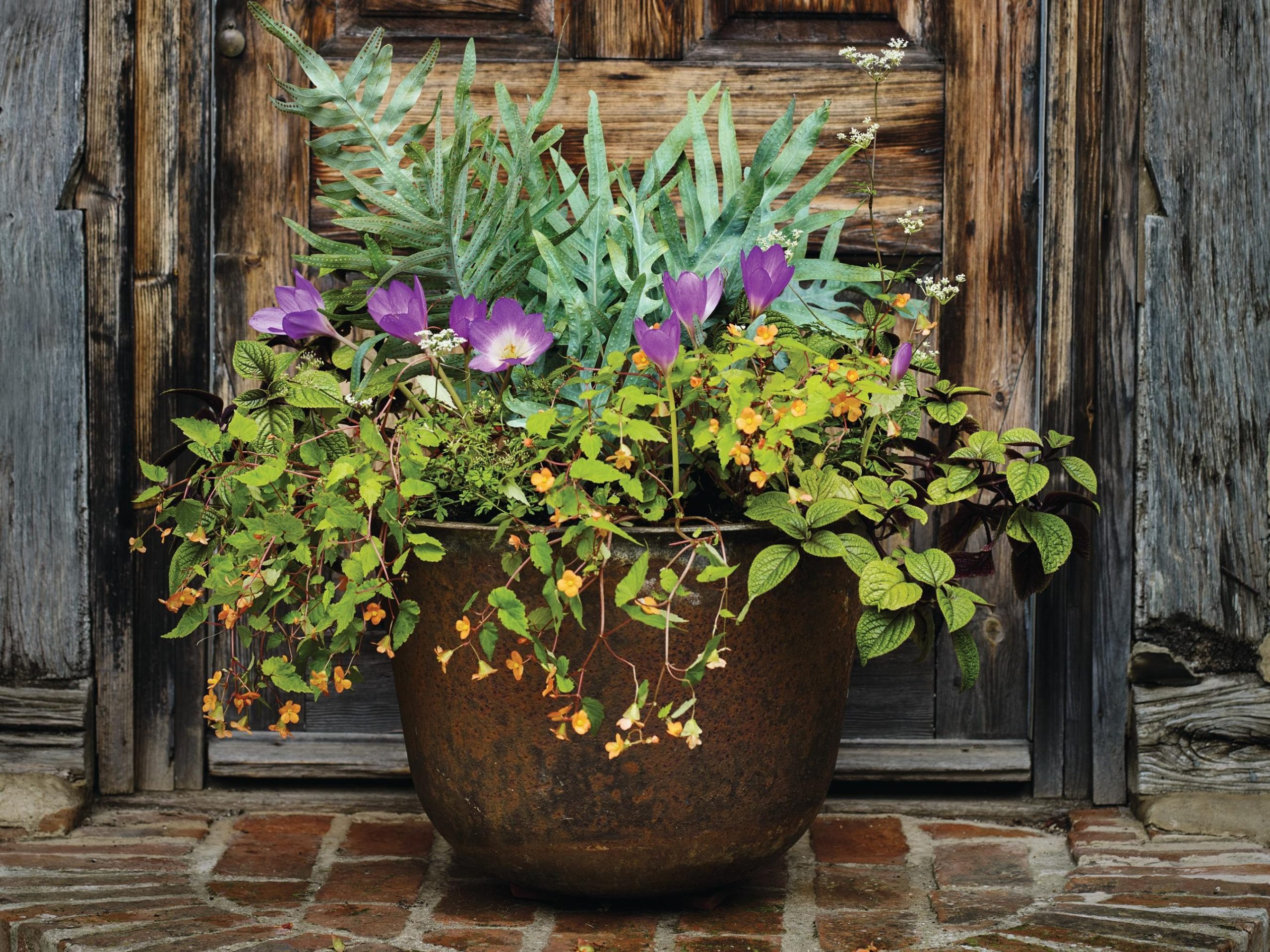 Plant pot