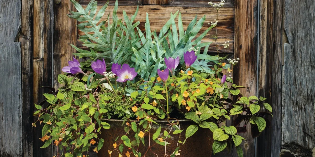 Plant pot James Horner Plant pot
