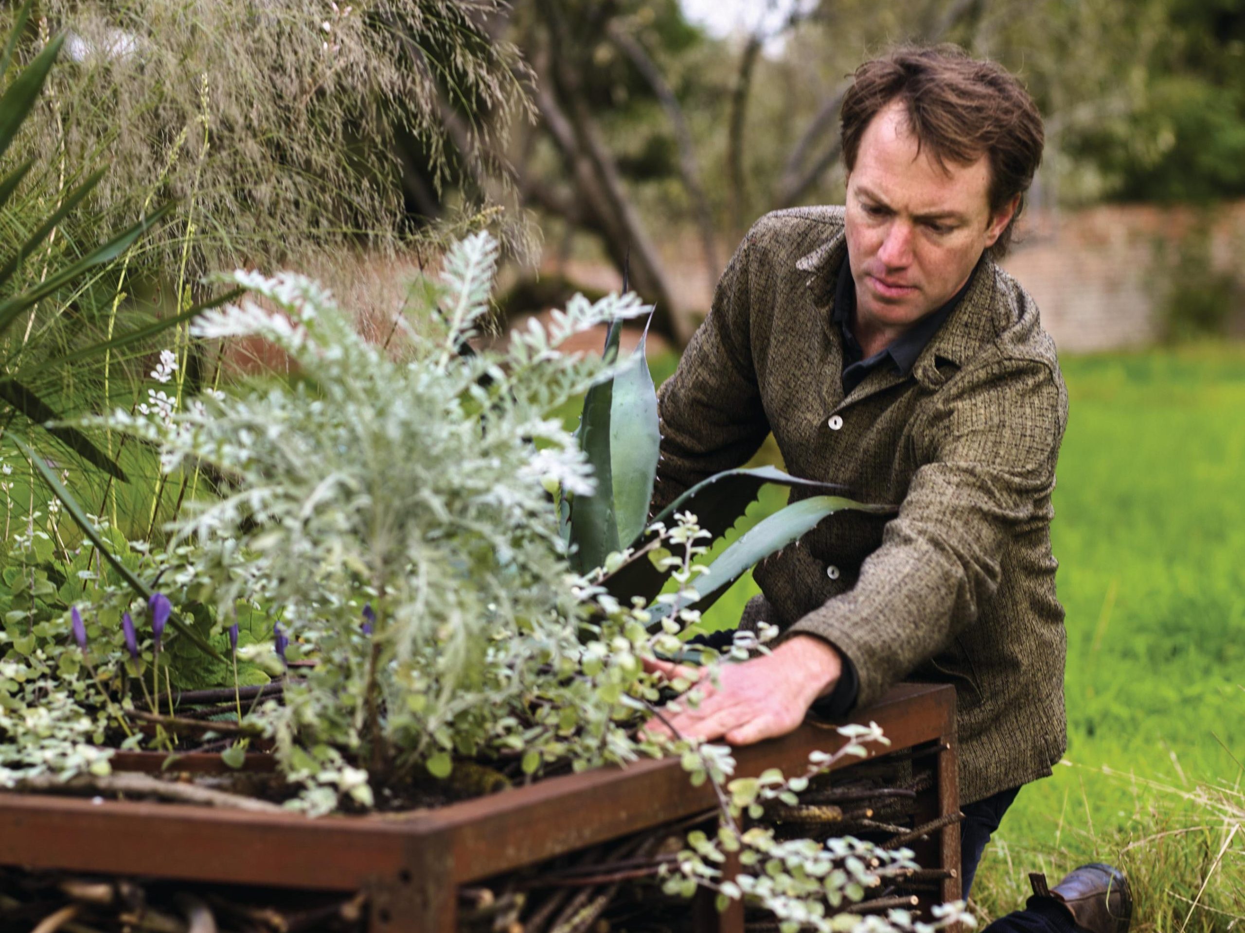 Man tending plant pot