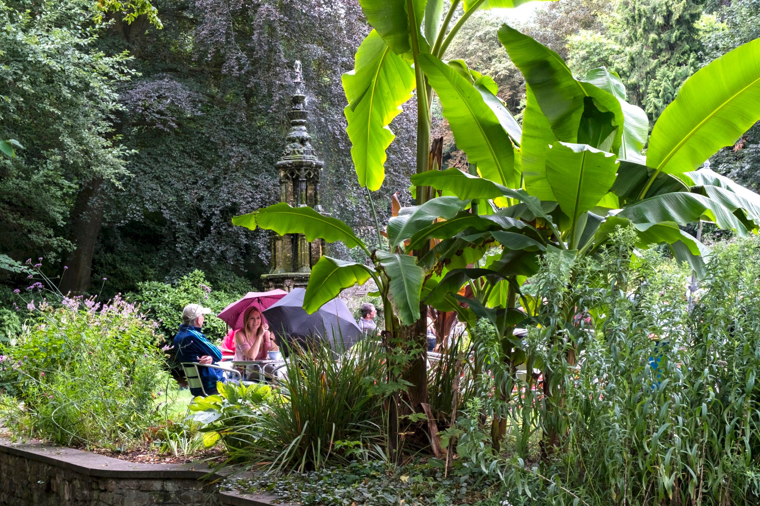 The Plantation Garden, Norwich
