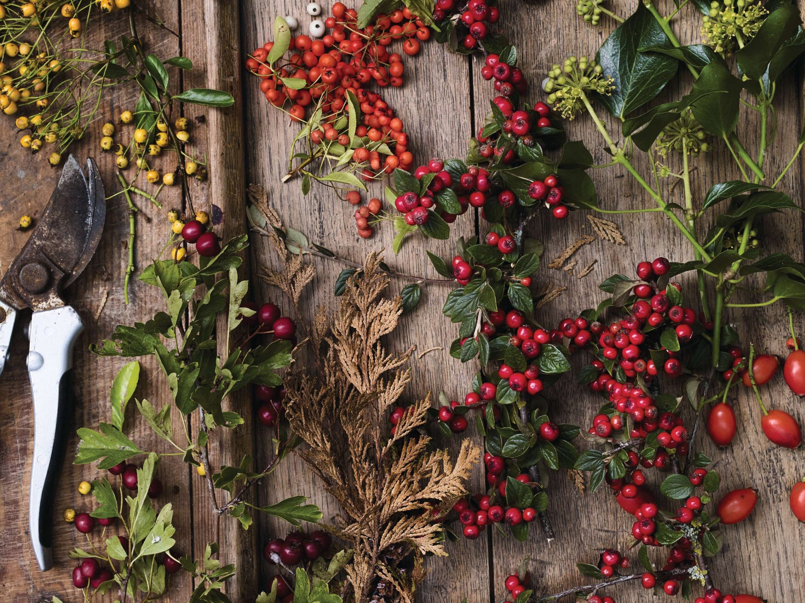 Festive wreath hoop