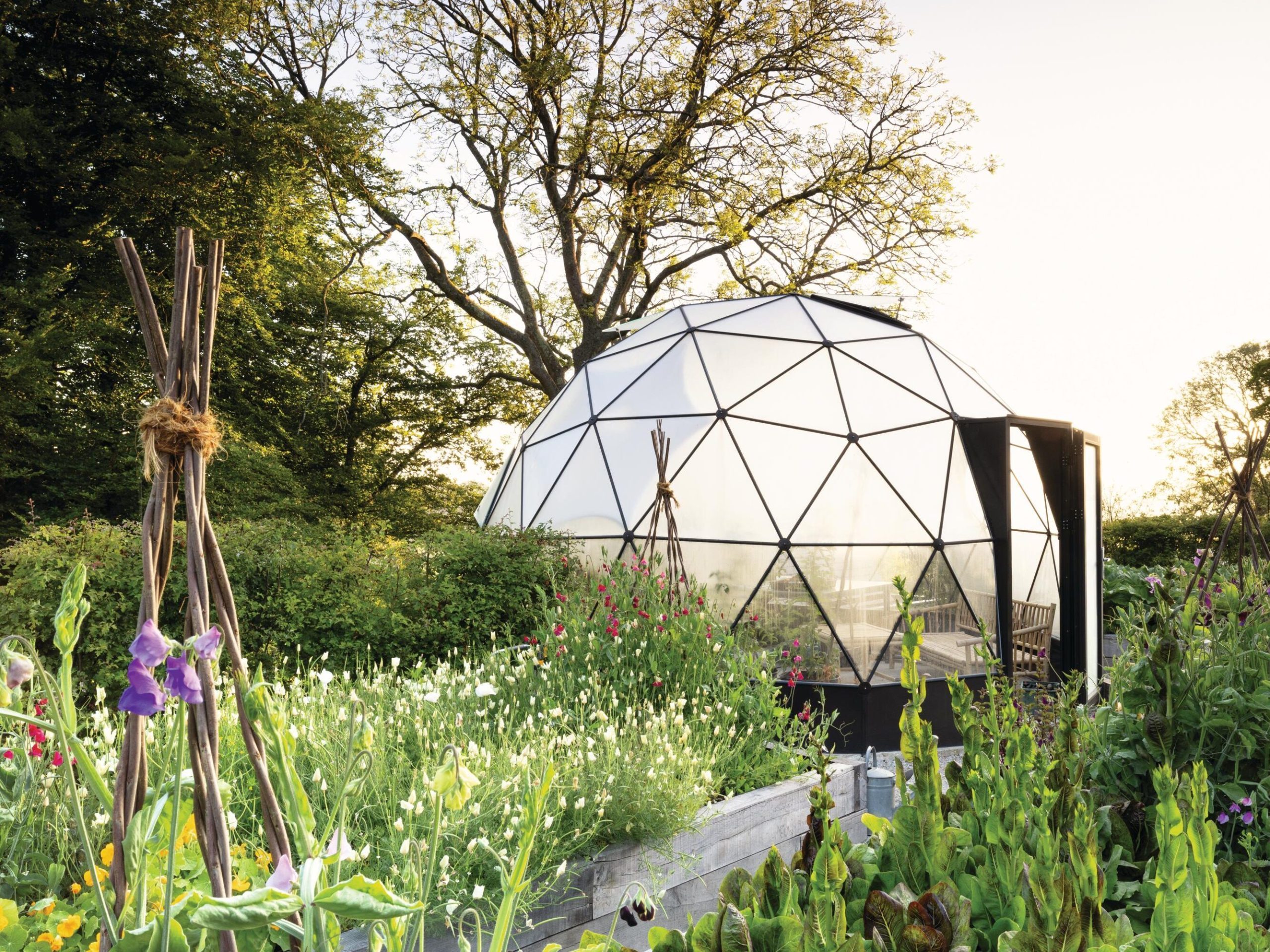 Biodome glass house and garden