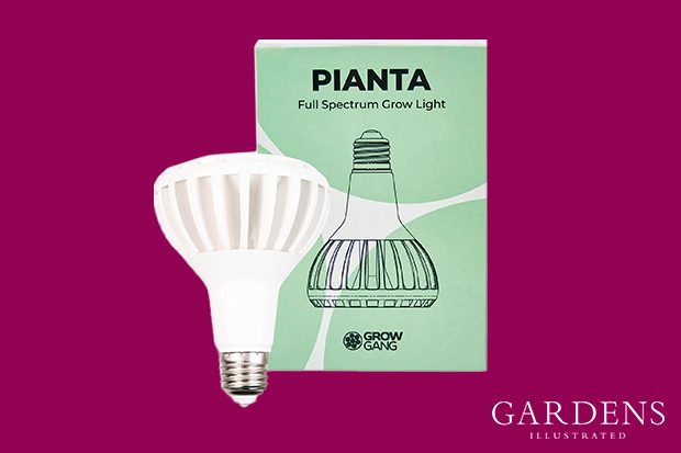 Pianta 18W Full Spectrum LED Grow Light on a pink background