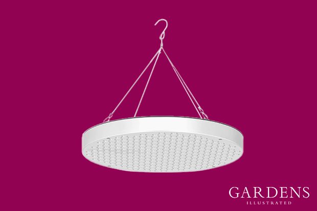 LED Grow Light on a pink background