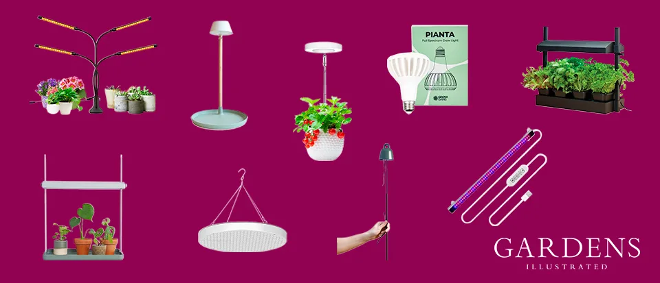 A selection of plant grow lights A selection of plant grow lights on a pink background