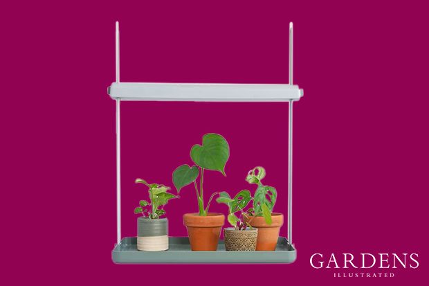 Elho Coen Light Garden on a pink background