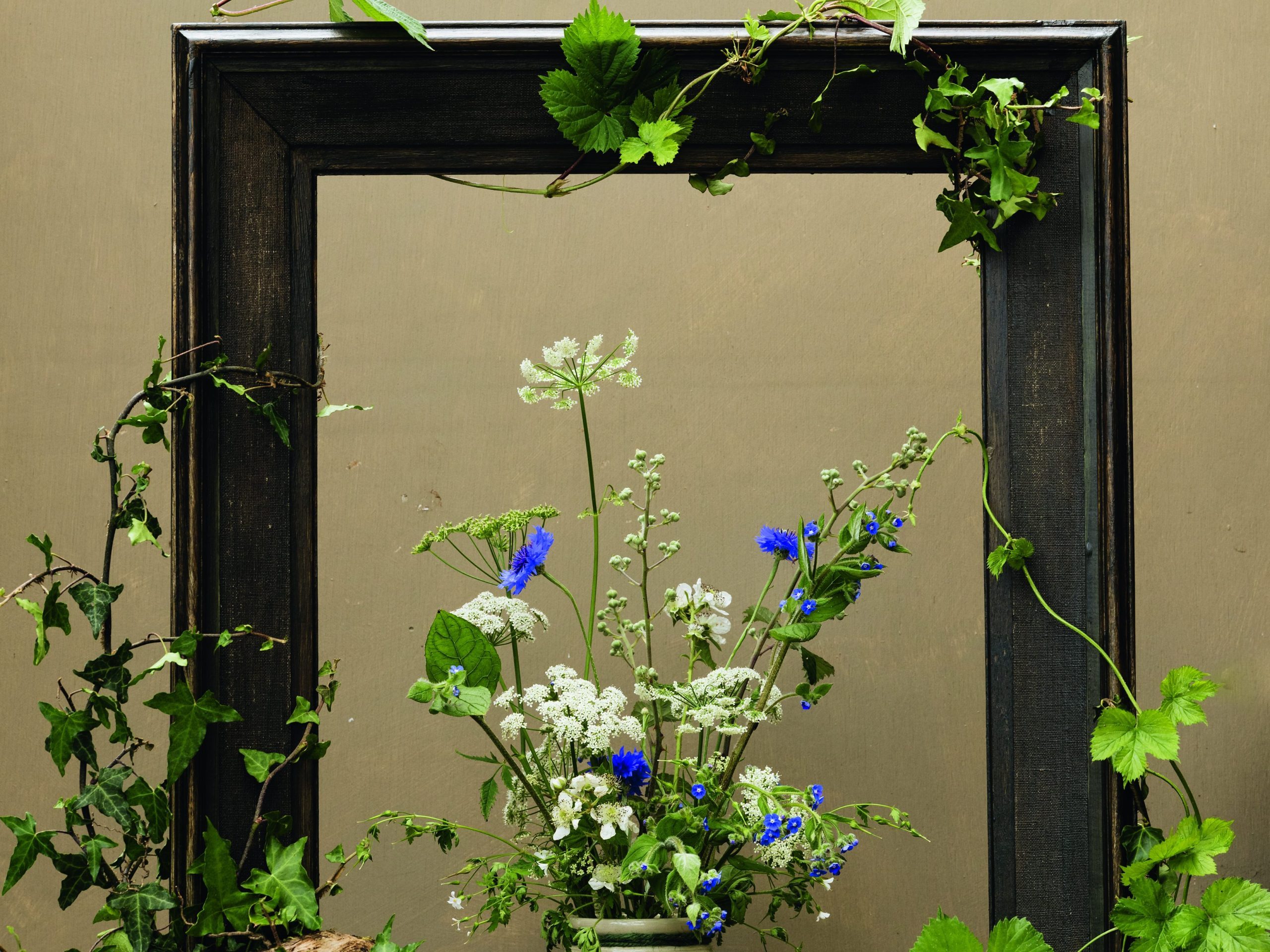 'Weeds' from the garden