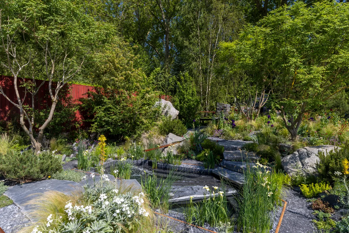 Terrence Higgins Trust Bridge to 2030 Garden at RHS Chelsea Flower Show 2024. Designed by Matthew Childs. Sponsored by Project Giving Back Terrence Higgins Trust Bridge to 2030 Garden at RHS Chelsea Flower Show 2024. Designed by Matthew Childs. Sponsored by Project Giving Back