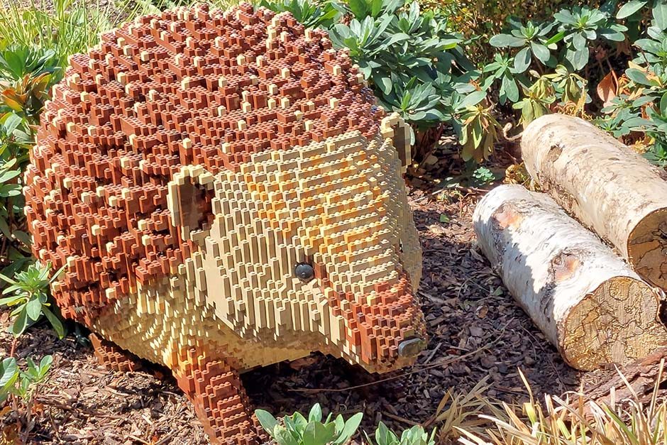 Hyde Hall Brick Explorers Hedgehog