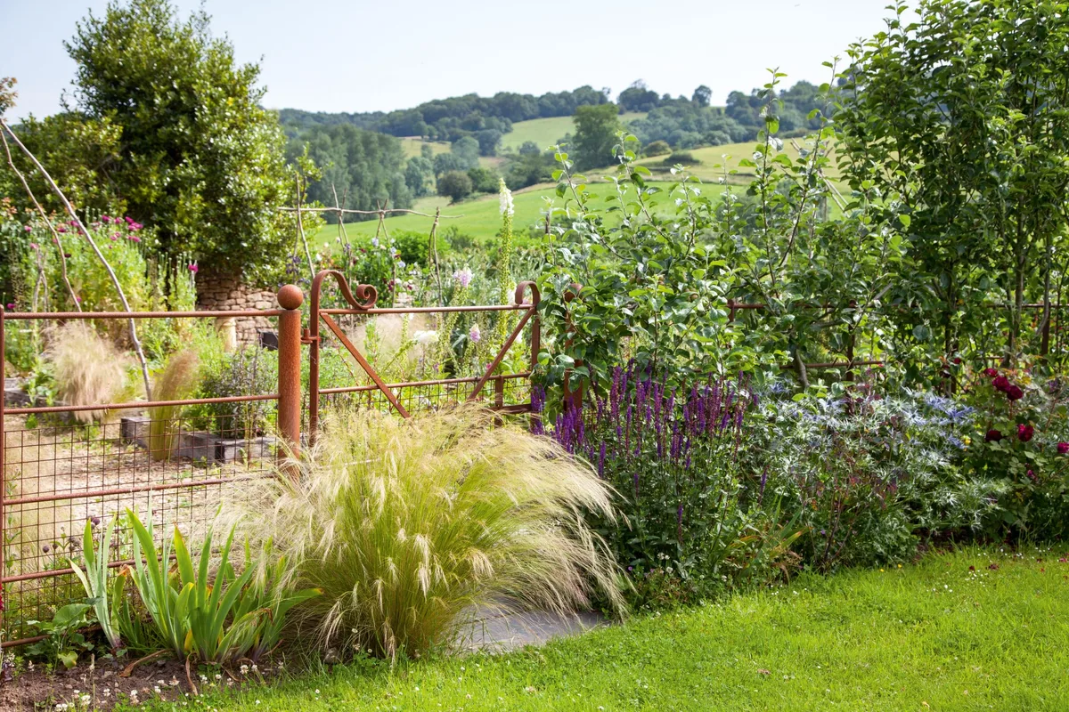 Alison Jenkins' garden Gateway with grasses in Alison Jenkins' garden