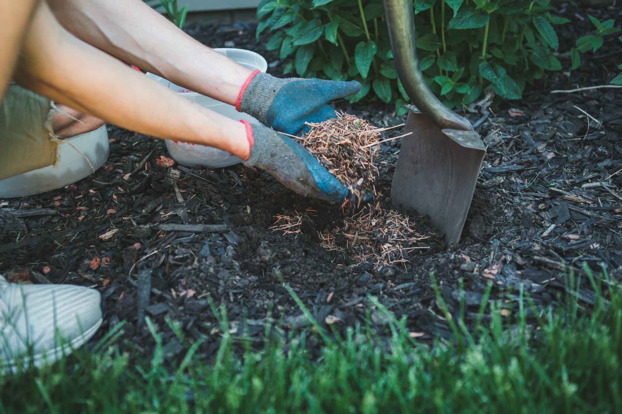 Arms with soil and spade