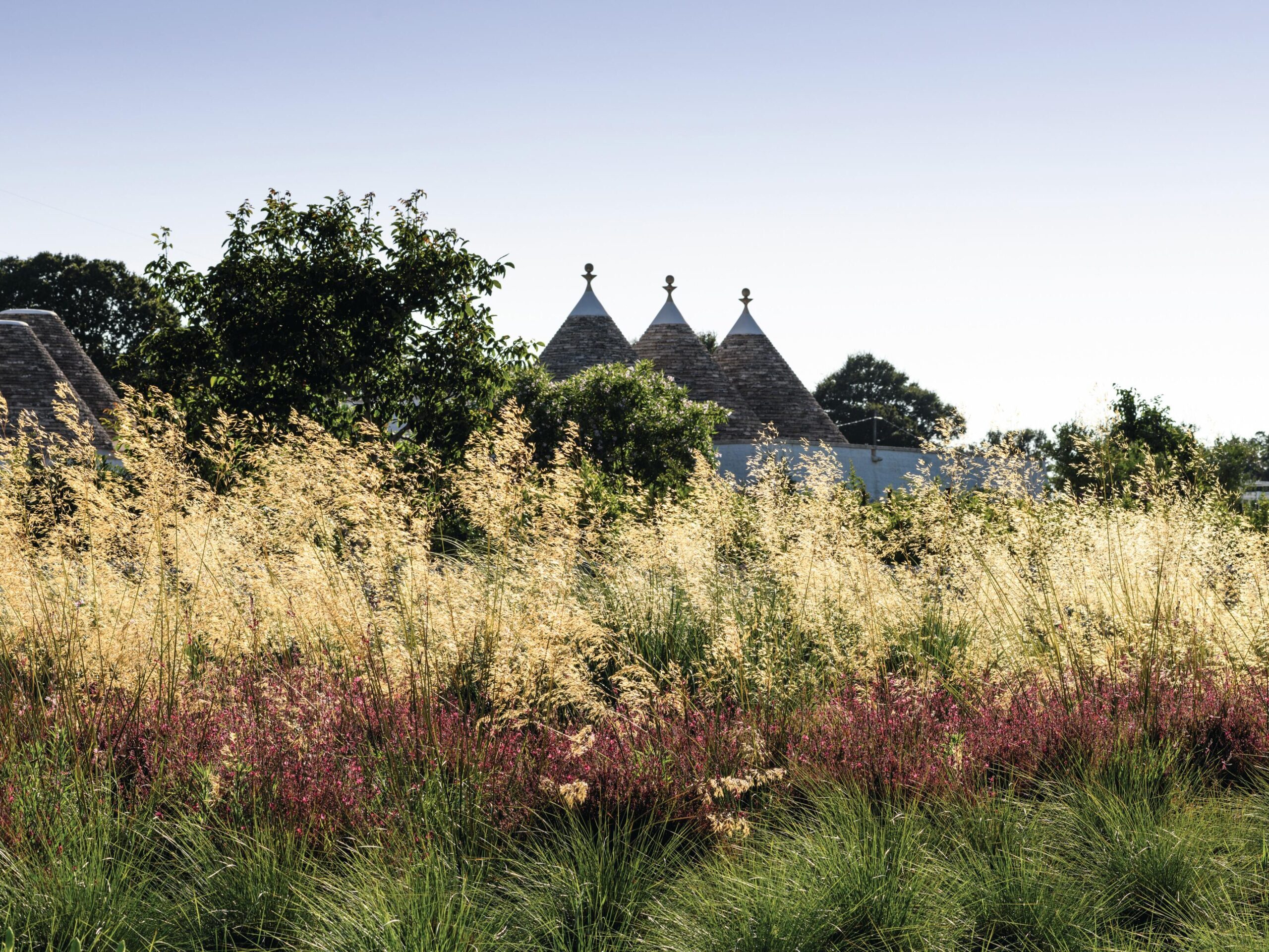 Stone huts with plants in the foreground