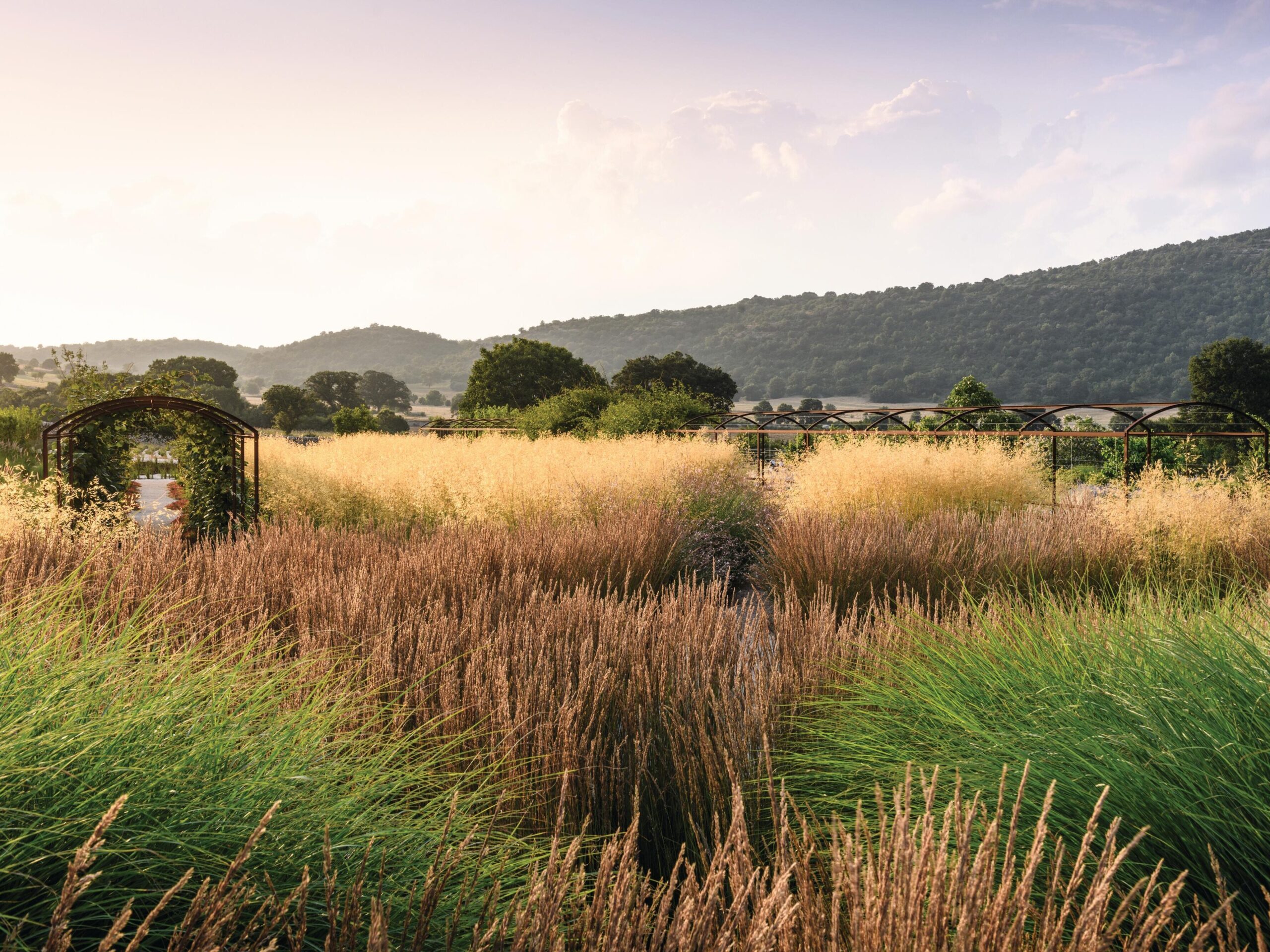 Grass terrace surrounded by countryside