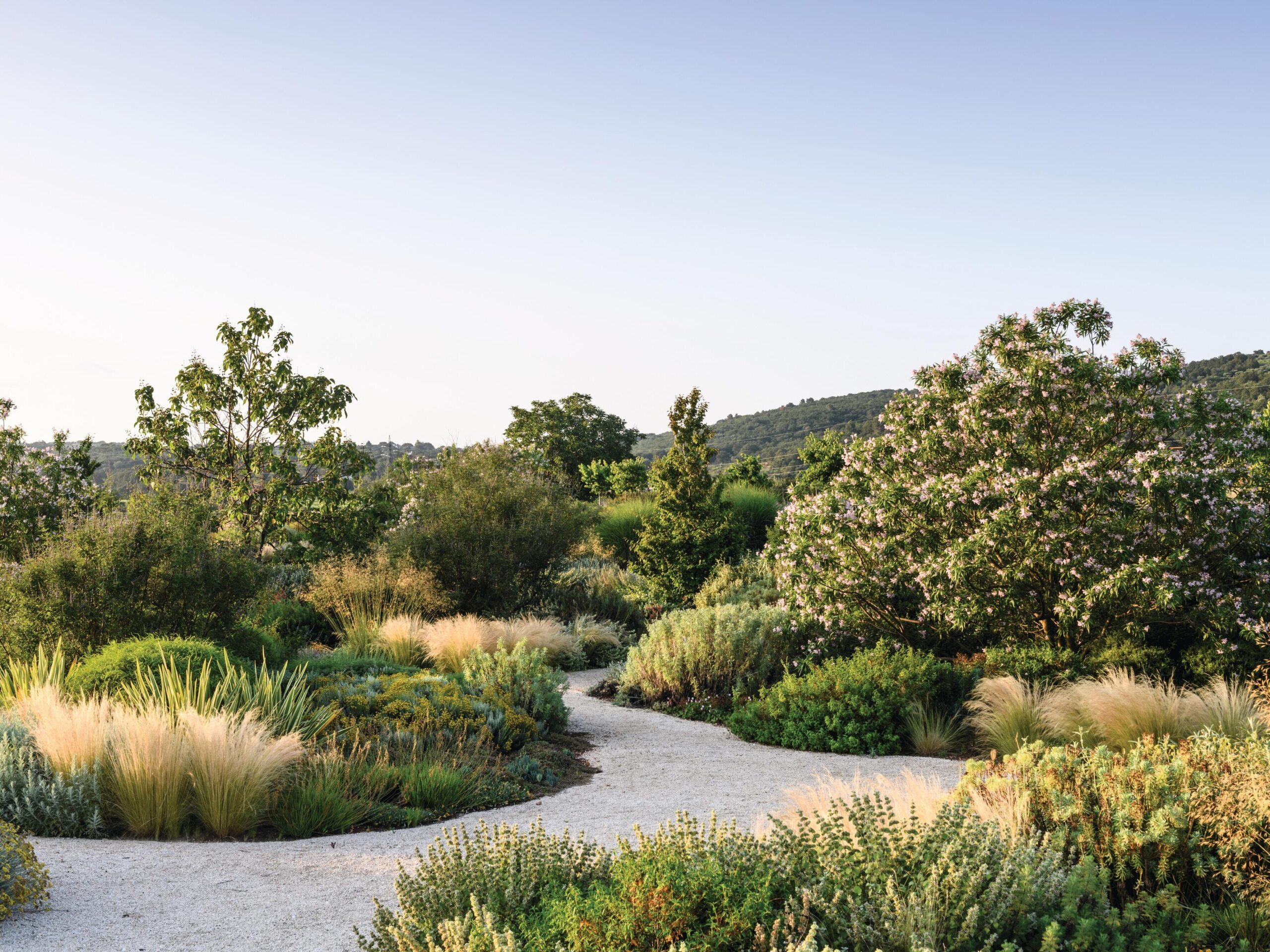 Italian garden path bordered by trees and shrubs