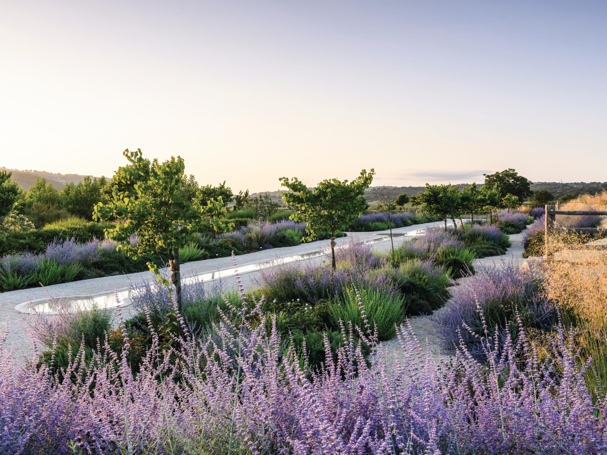 Italian garden in bloom