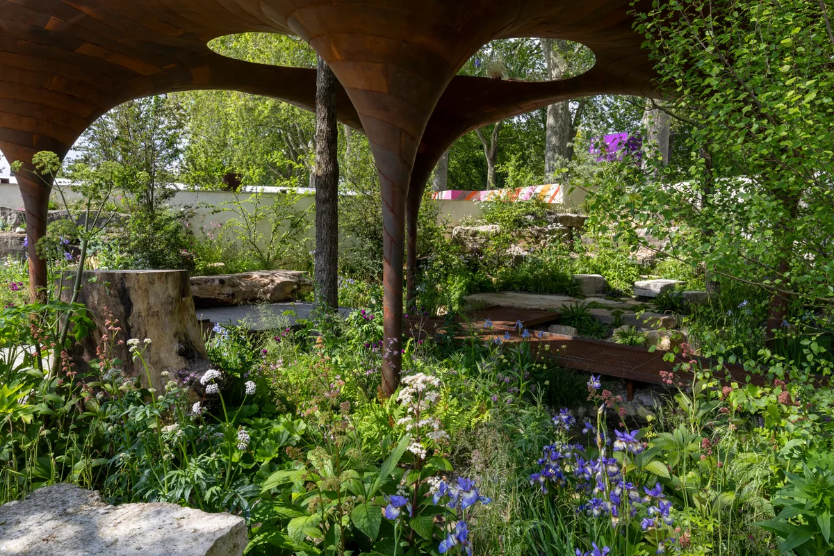 The WaterAid Garden. Designed by Tom Massey and Je Ahn. Sponsored by Project Giving Back. In support of WaterAid. Show Garden. https://ngs.org.uk/ RHS Chelsea Flower Show 2024Show Garden. RHS Chelsea Flower Show 2024. Site no.323 The WaterAid Garden. Designed by Tom Massey and Je Ahn at RHS Chelsea Flower Show 2024.