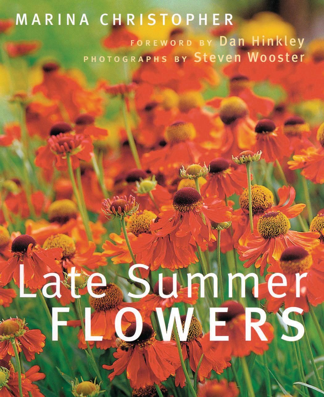 Book jacket