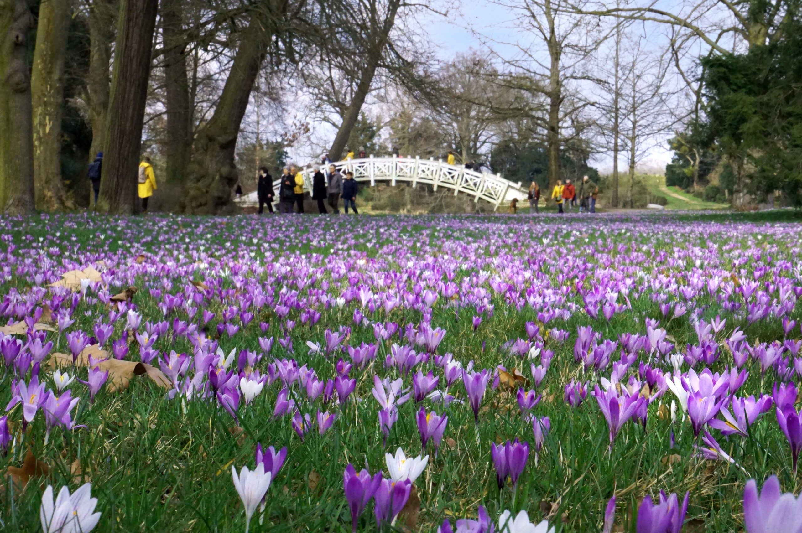Schloss Wörlitz is thought to be mainland Europe’s first English-style landscape park.