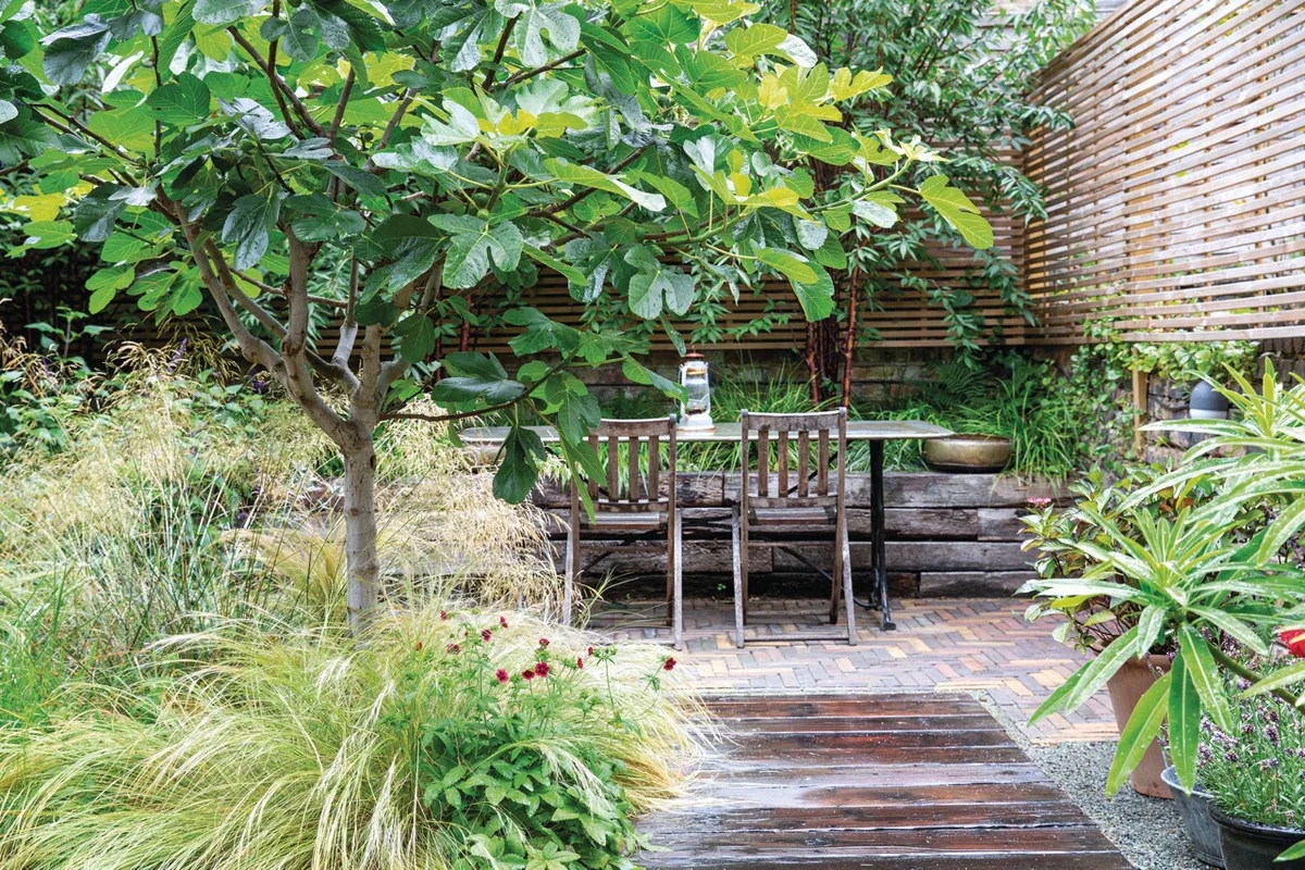 Garden shoot in Stoke Newington garden, Hackney London, designed by Ula Maria, Lonodn July 2019 Garden shoot in Stoke Newington garden, Hackney London, designed by Ula Maria, Lonodn July 2019