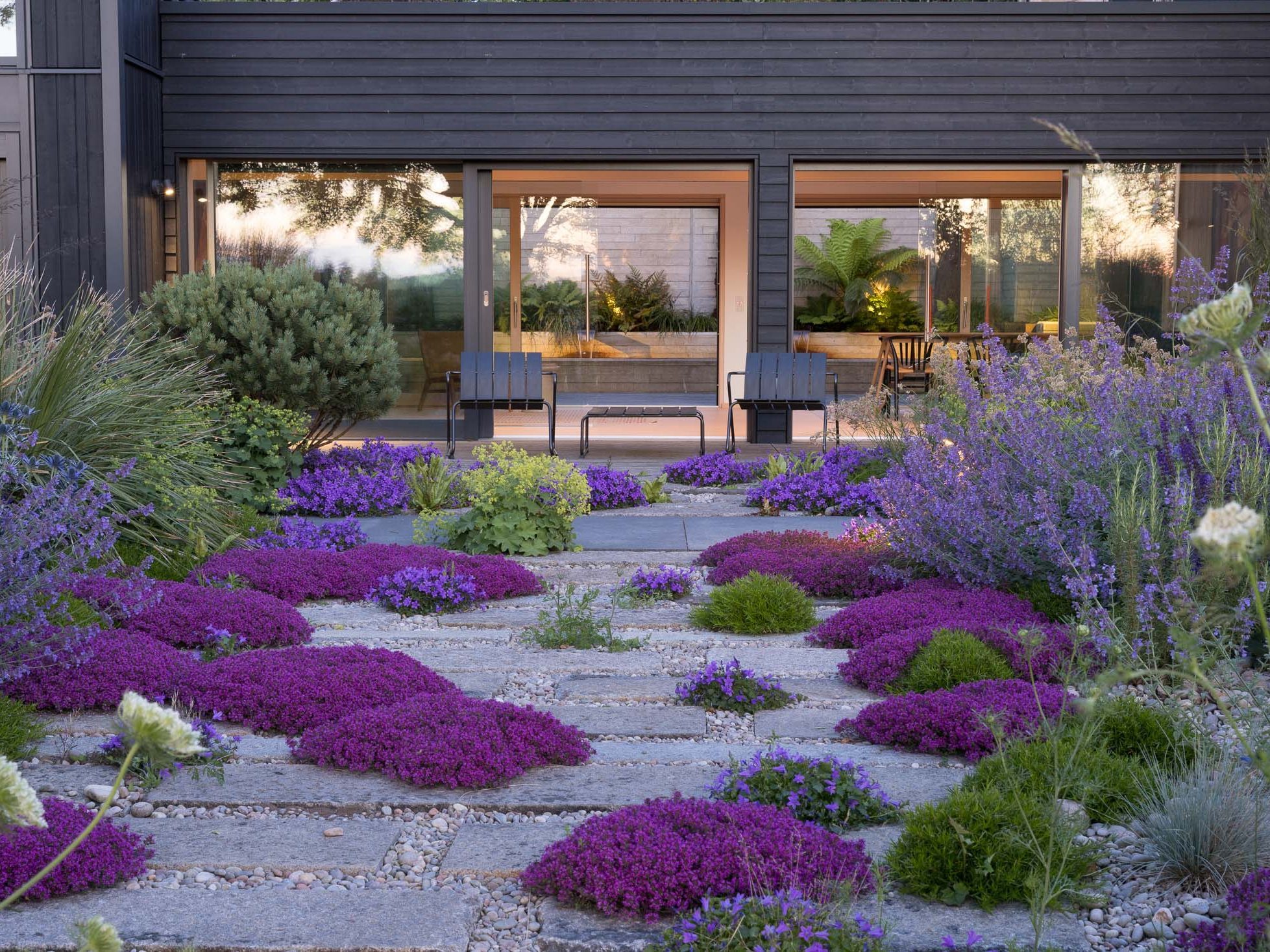 Plants between paving