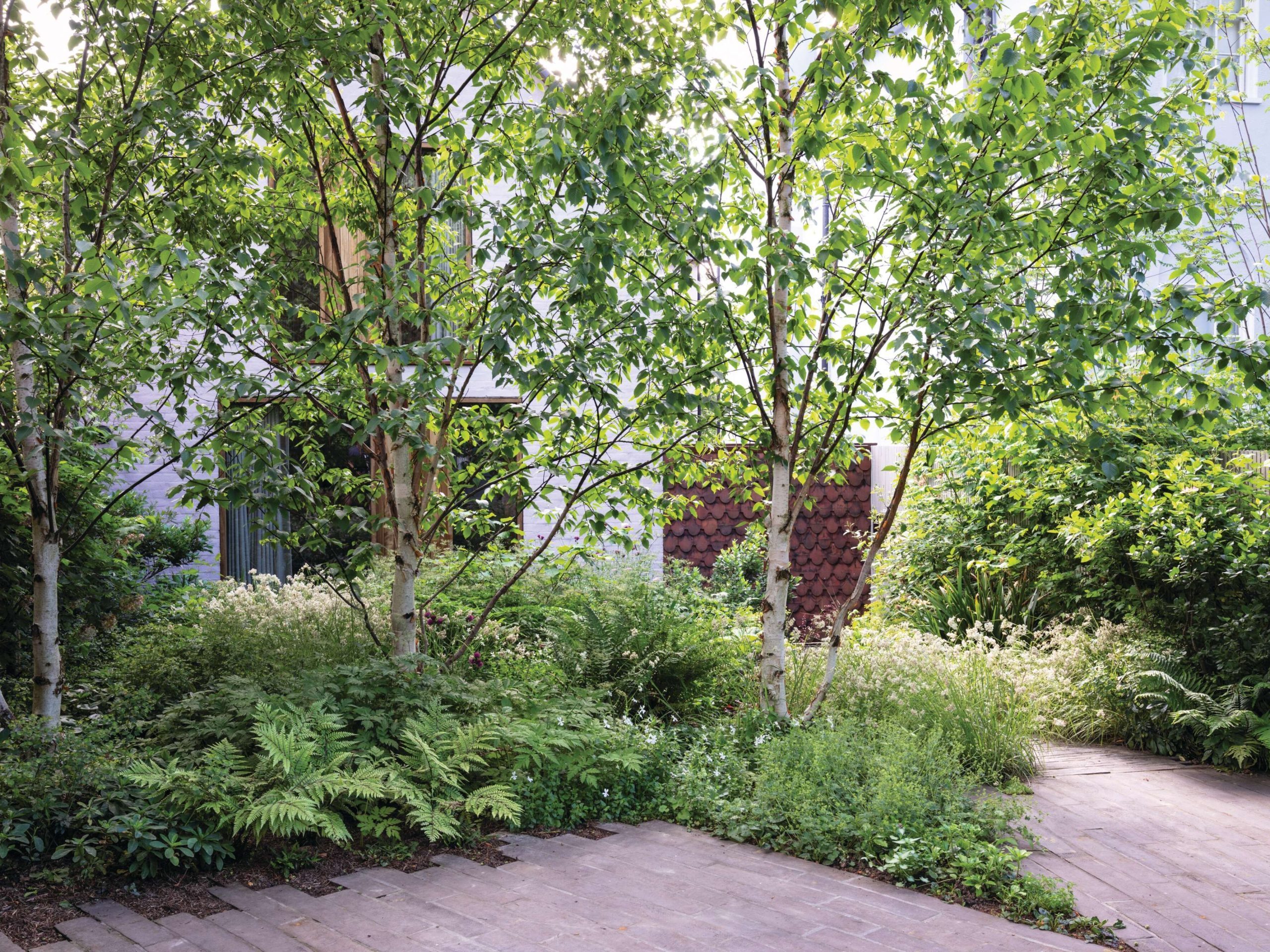 Garden paving and plants