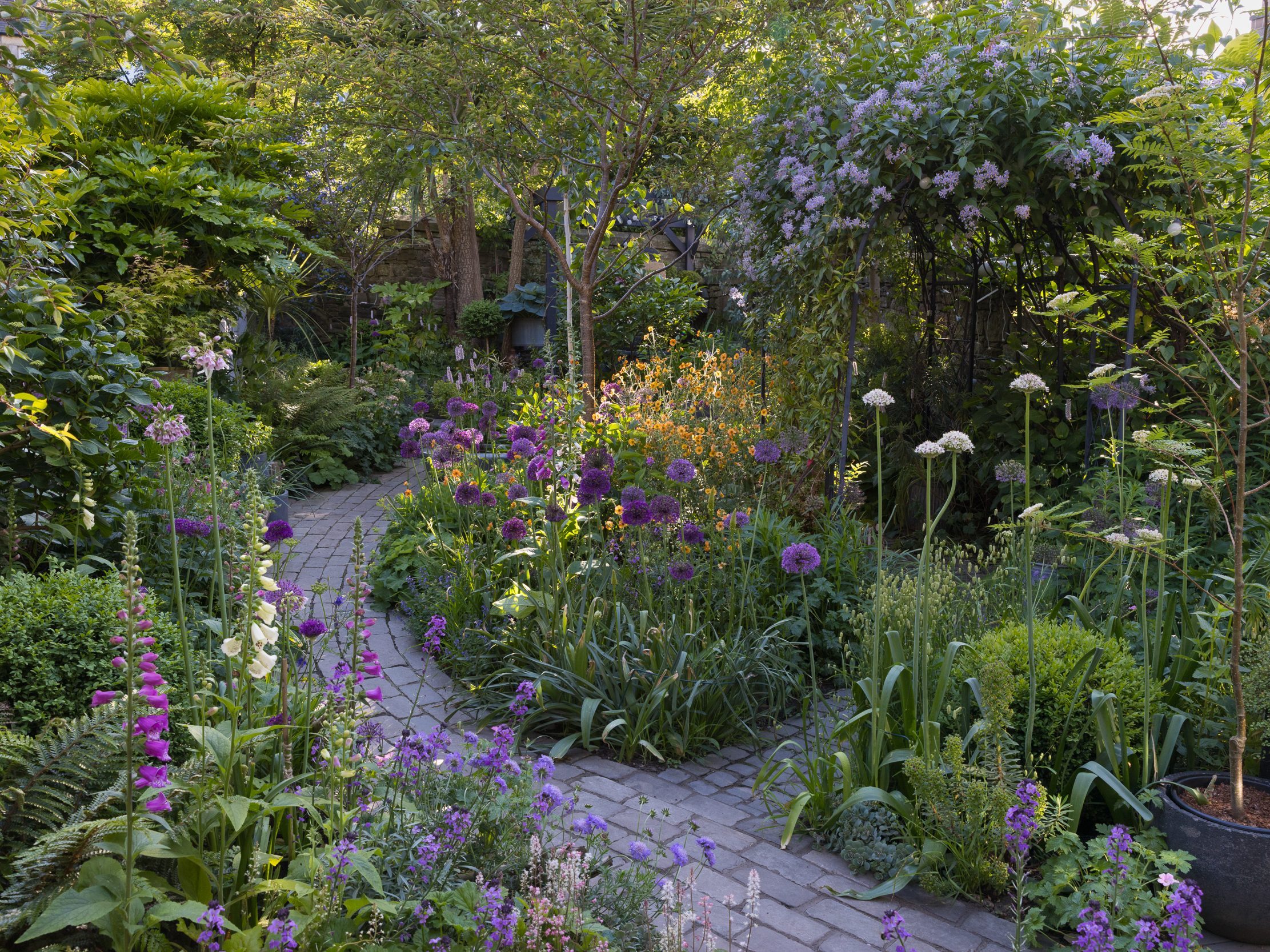 Garden path and borders