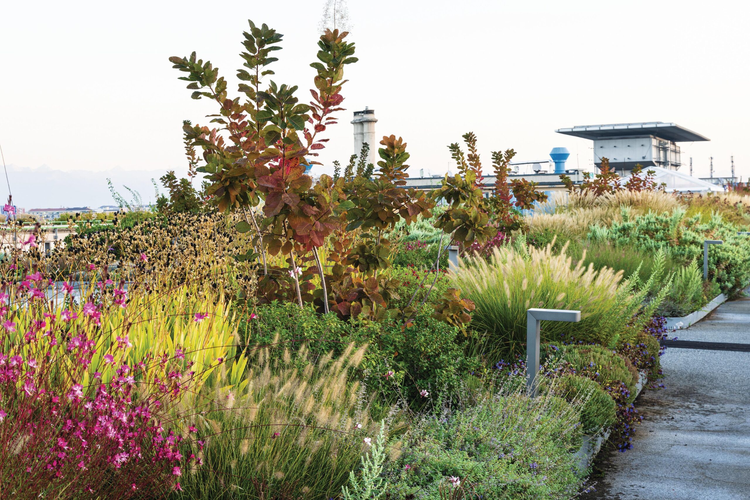 Fiat factory building, Lingotto, from Benedetto Camerana and landscape architect Cristiana Ruspa from Giardino Segreto